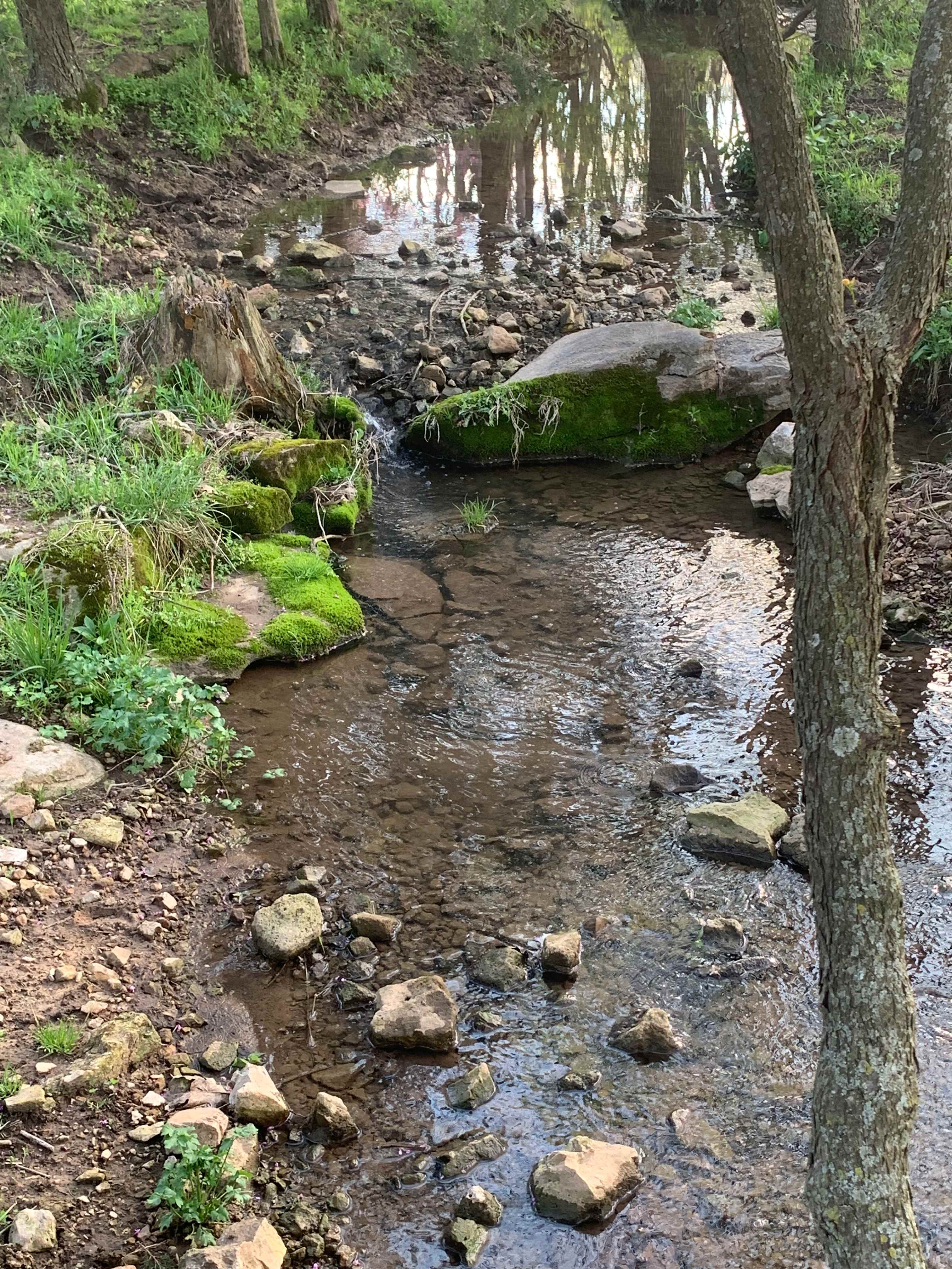 Blessed Valley