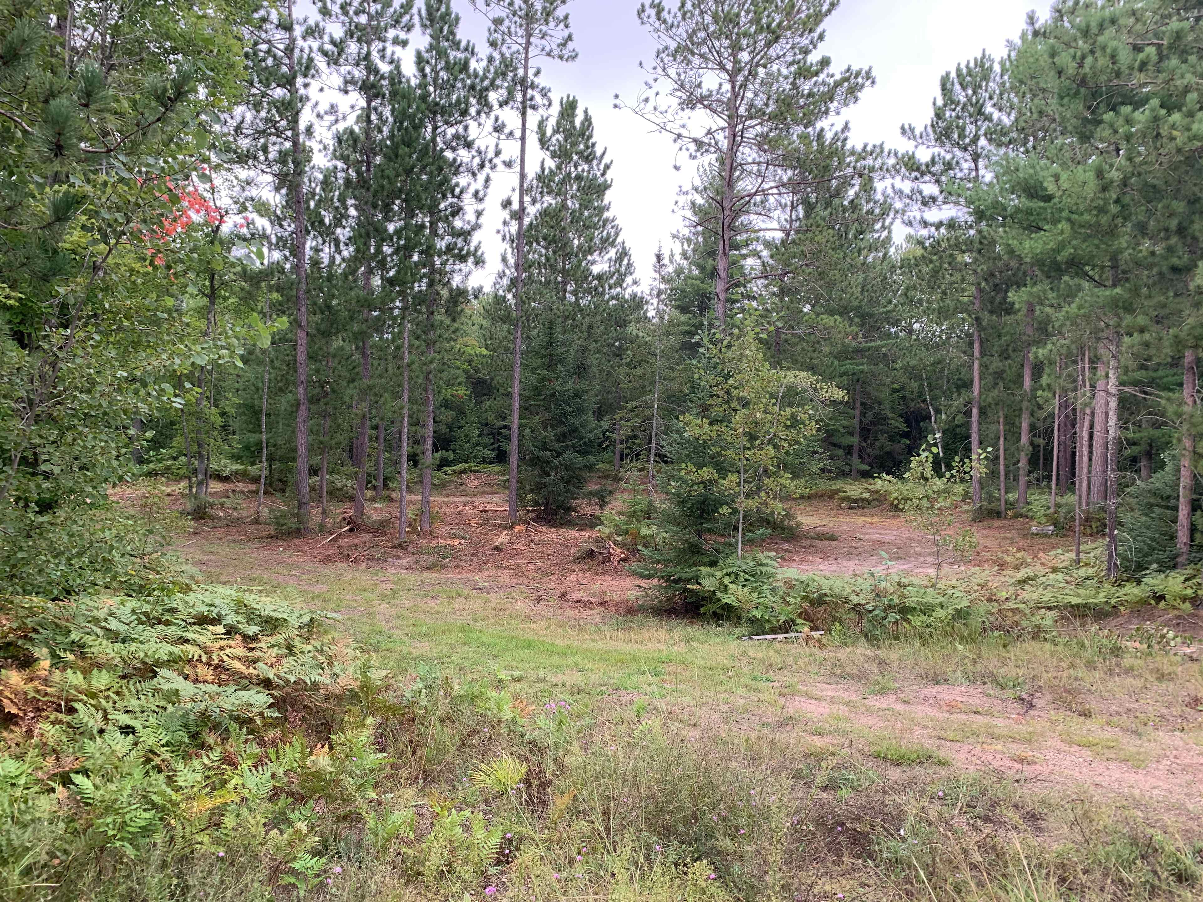 Blueberry fields campground
