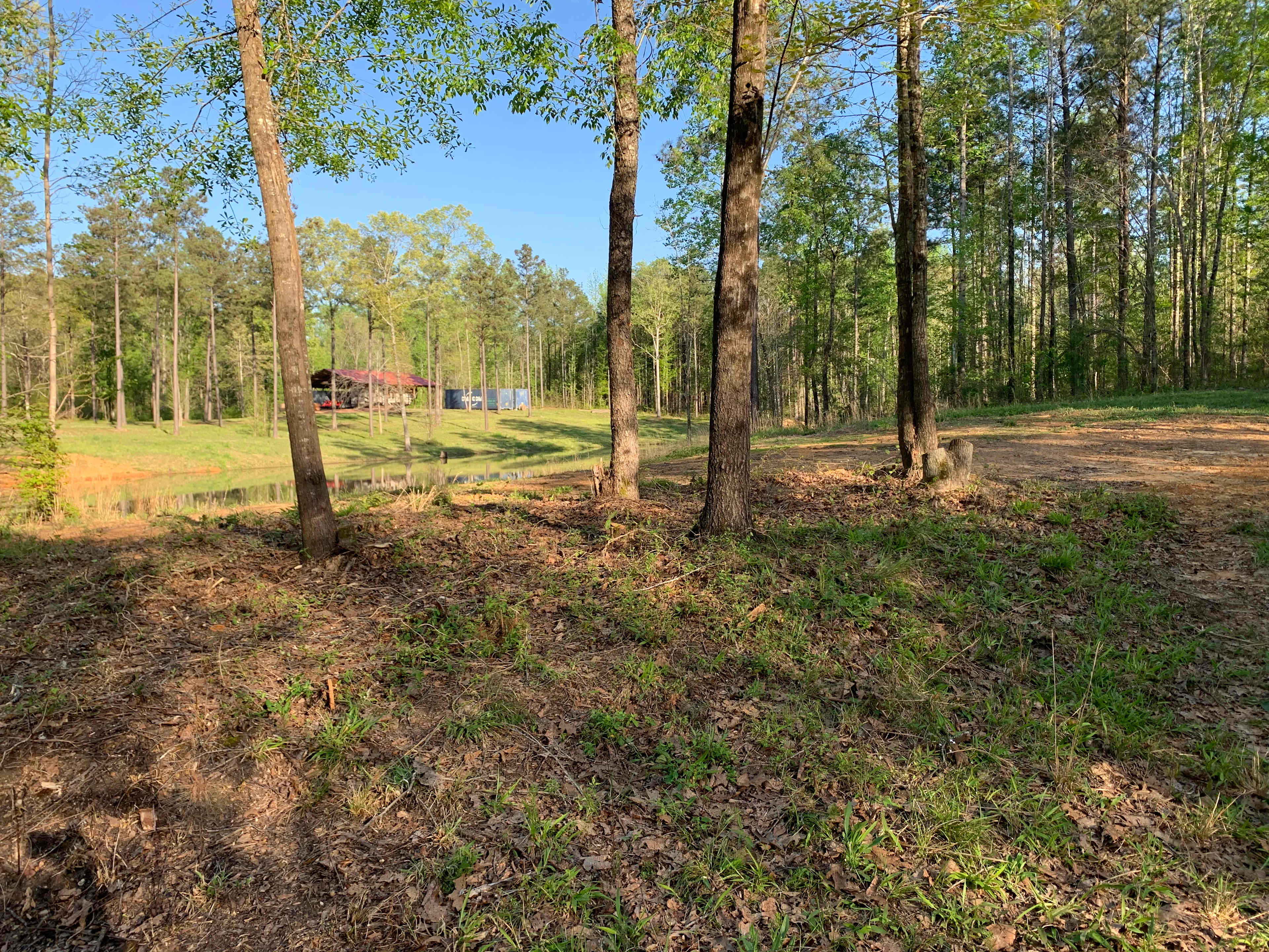 Site #3
Best spot for hammocks and has more privacy. 