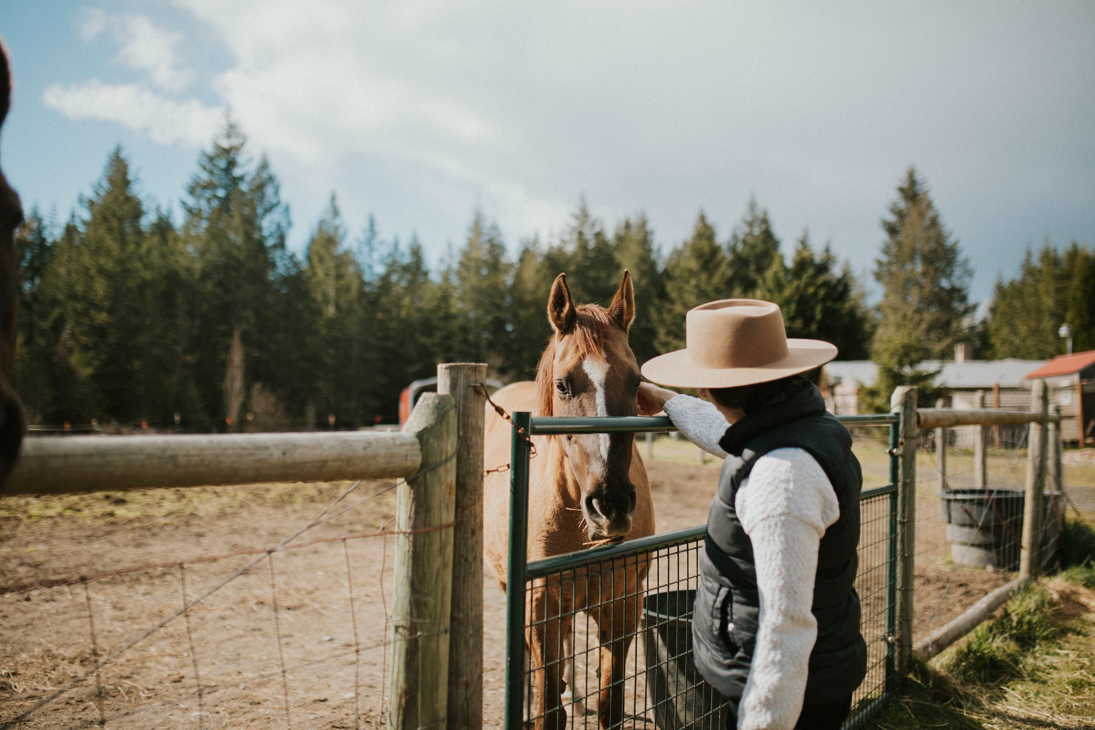 Malaney Creek Farm