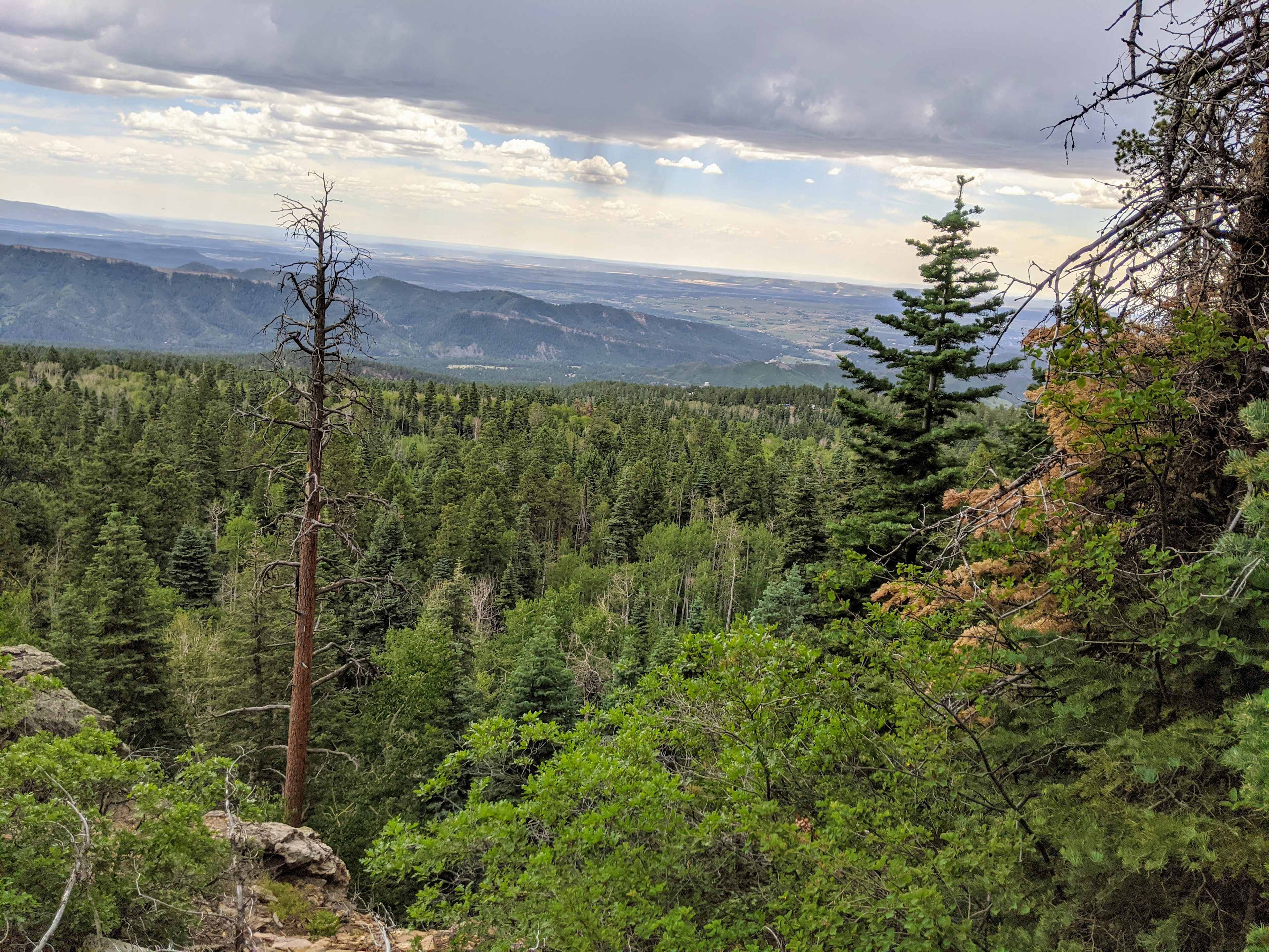 Our property sits at 8,600' elevation with 10,000' views nearby.