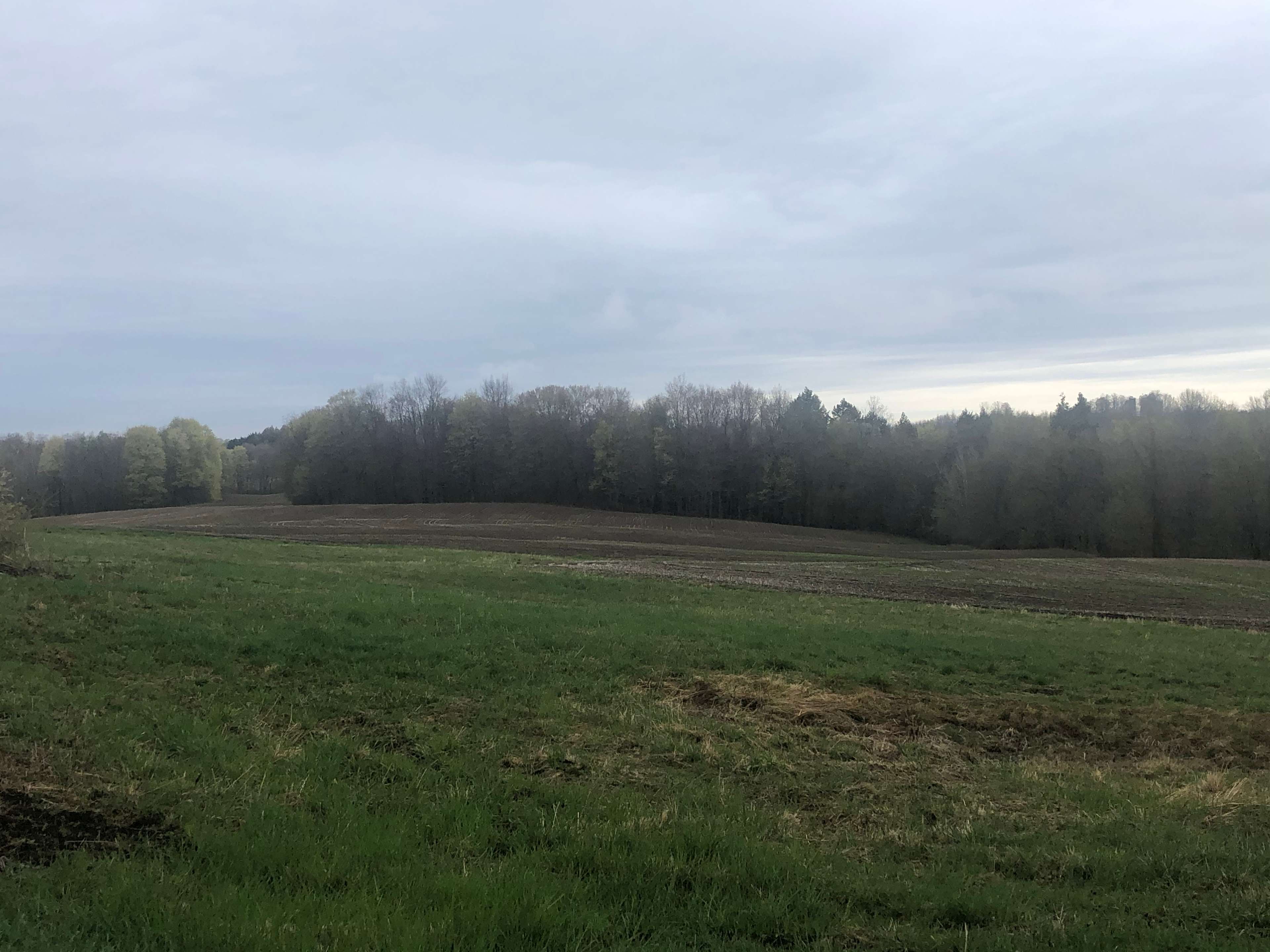 Keefe Farms