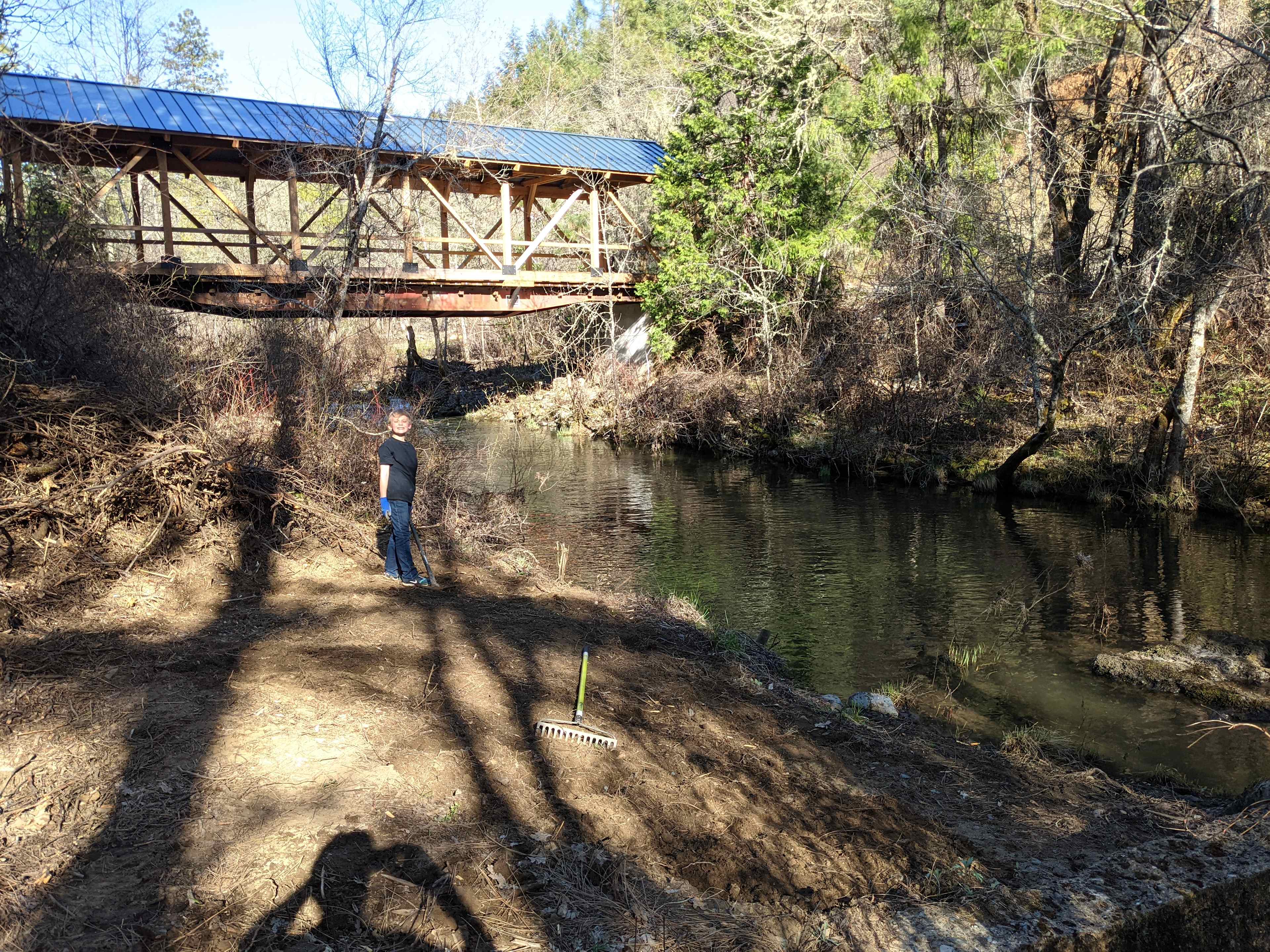 Forested creekside campsite