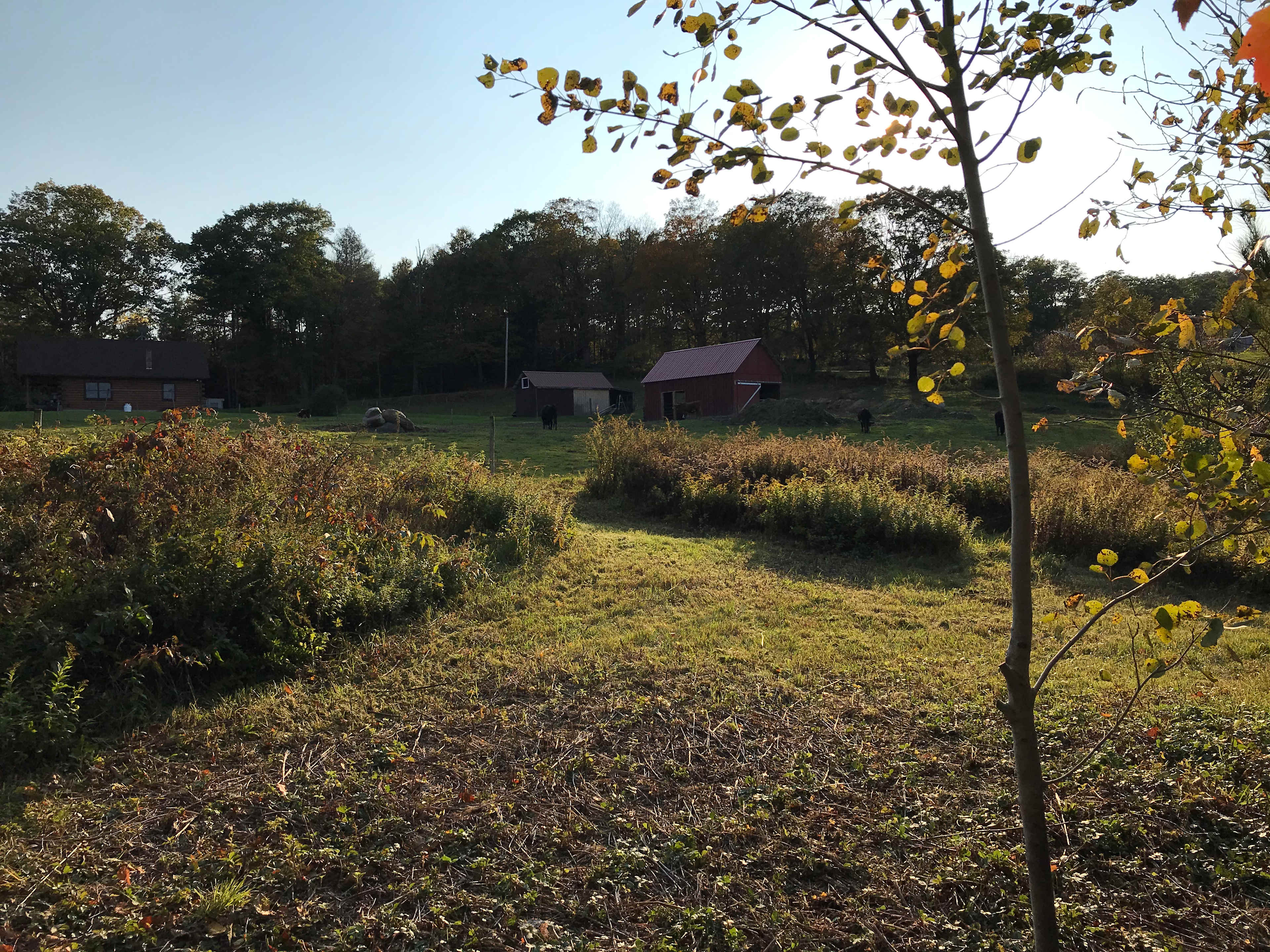 Berkshire Basecamp