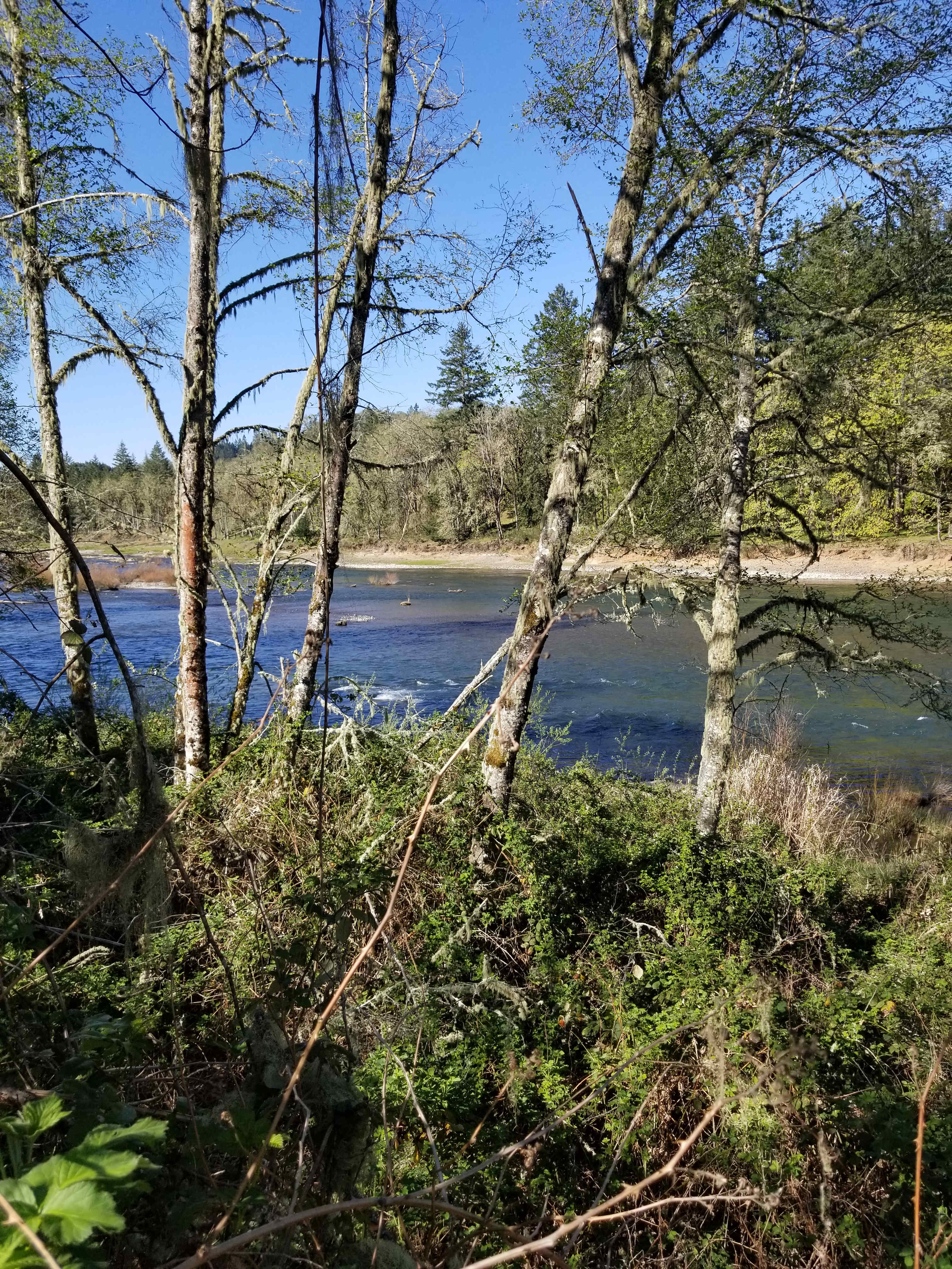 River Ranch Campground