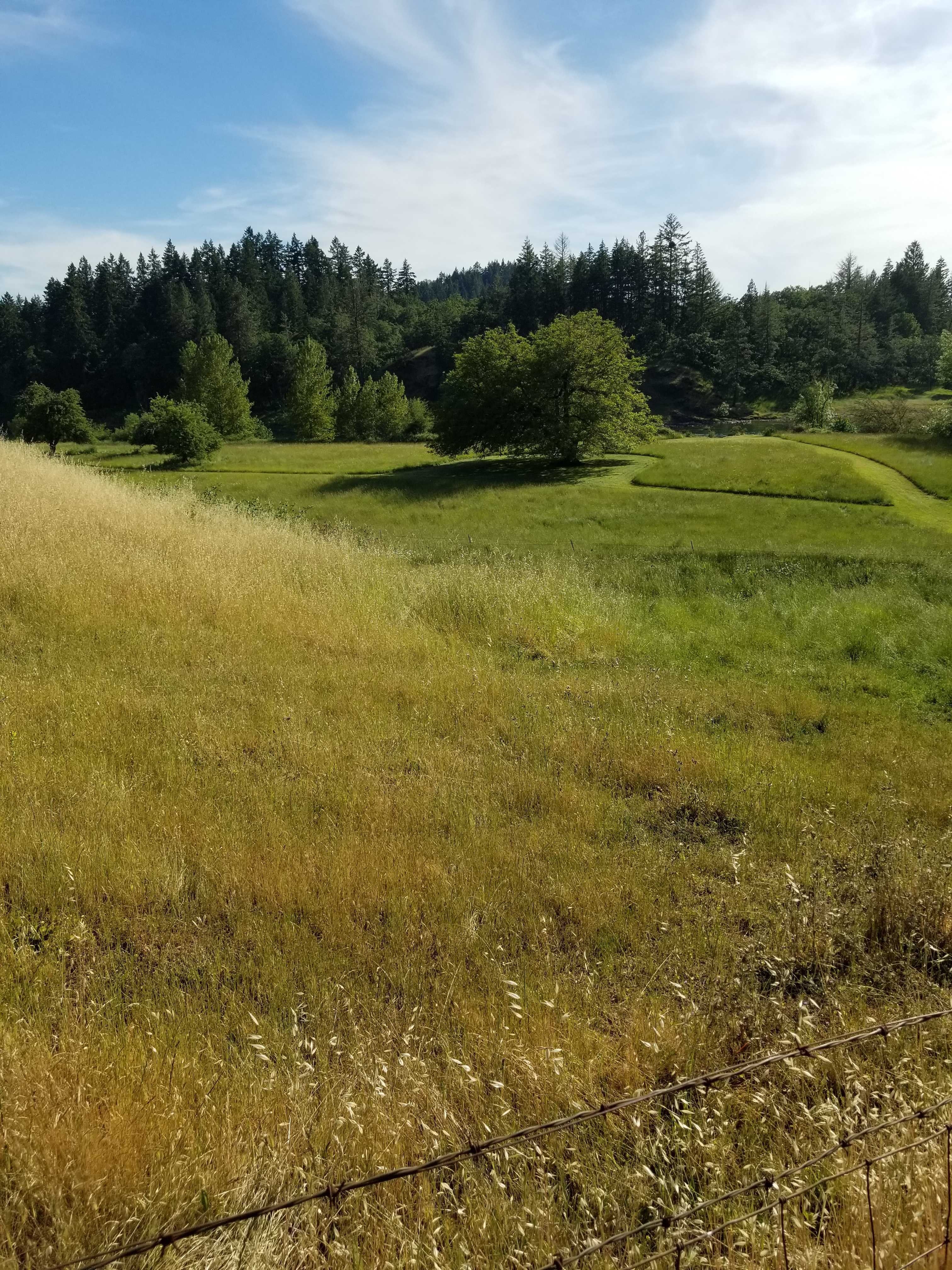 River Ranch Campground