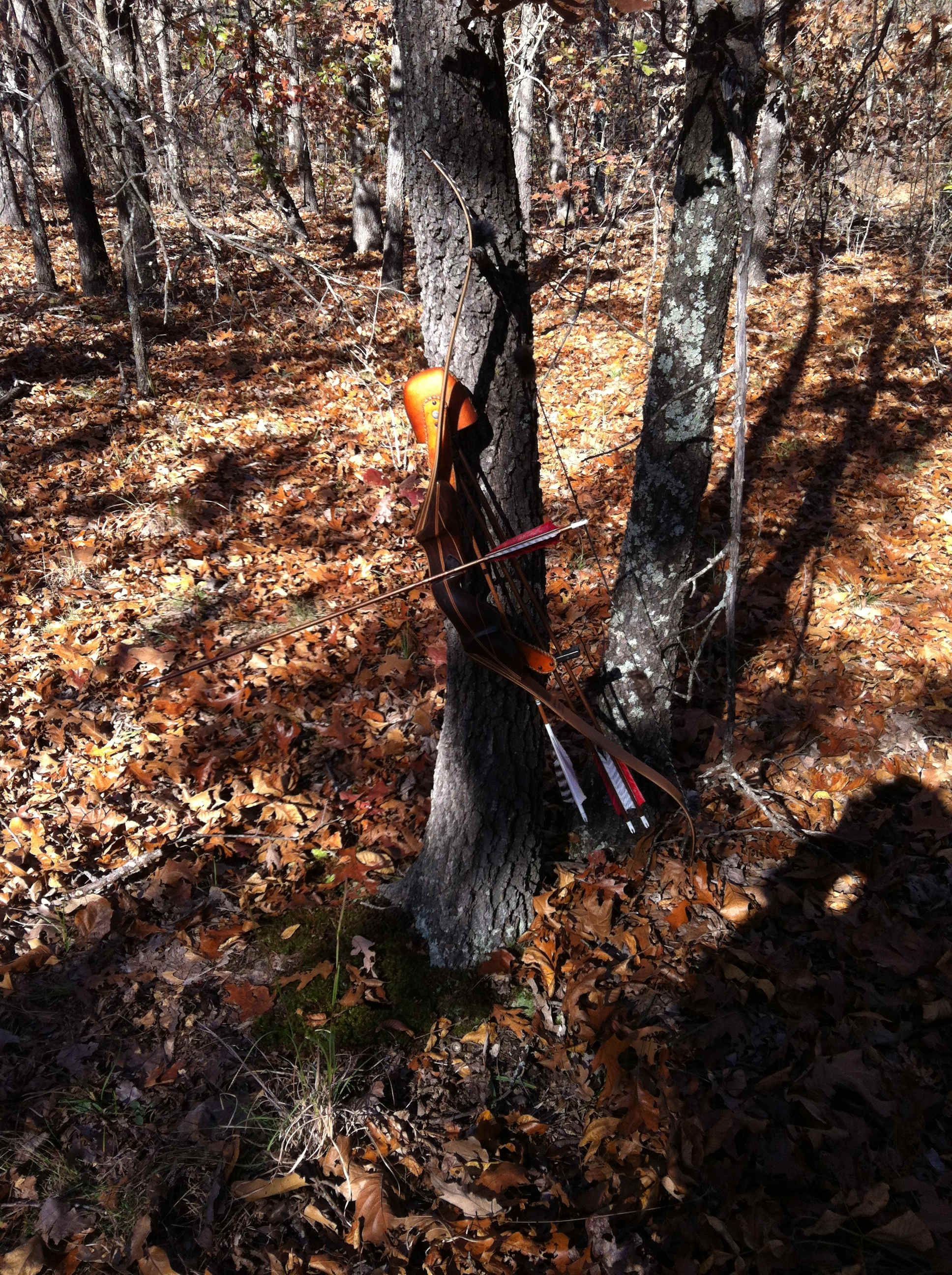 Ozarks primitive camping