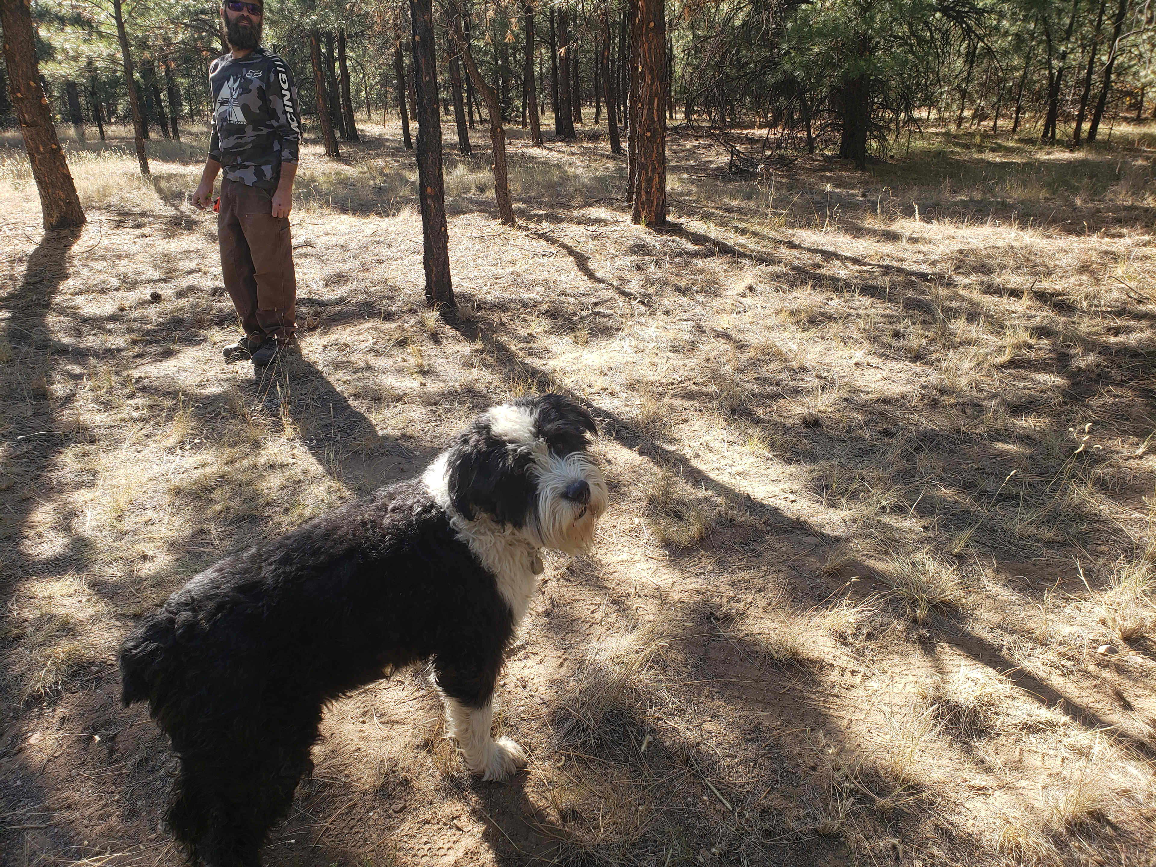 Coyote creek farm