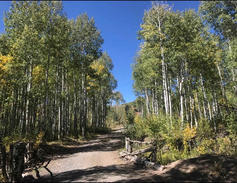 High Park Mountain Tranquility