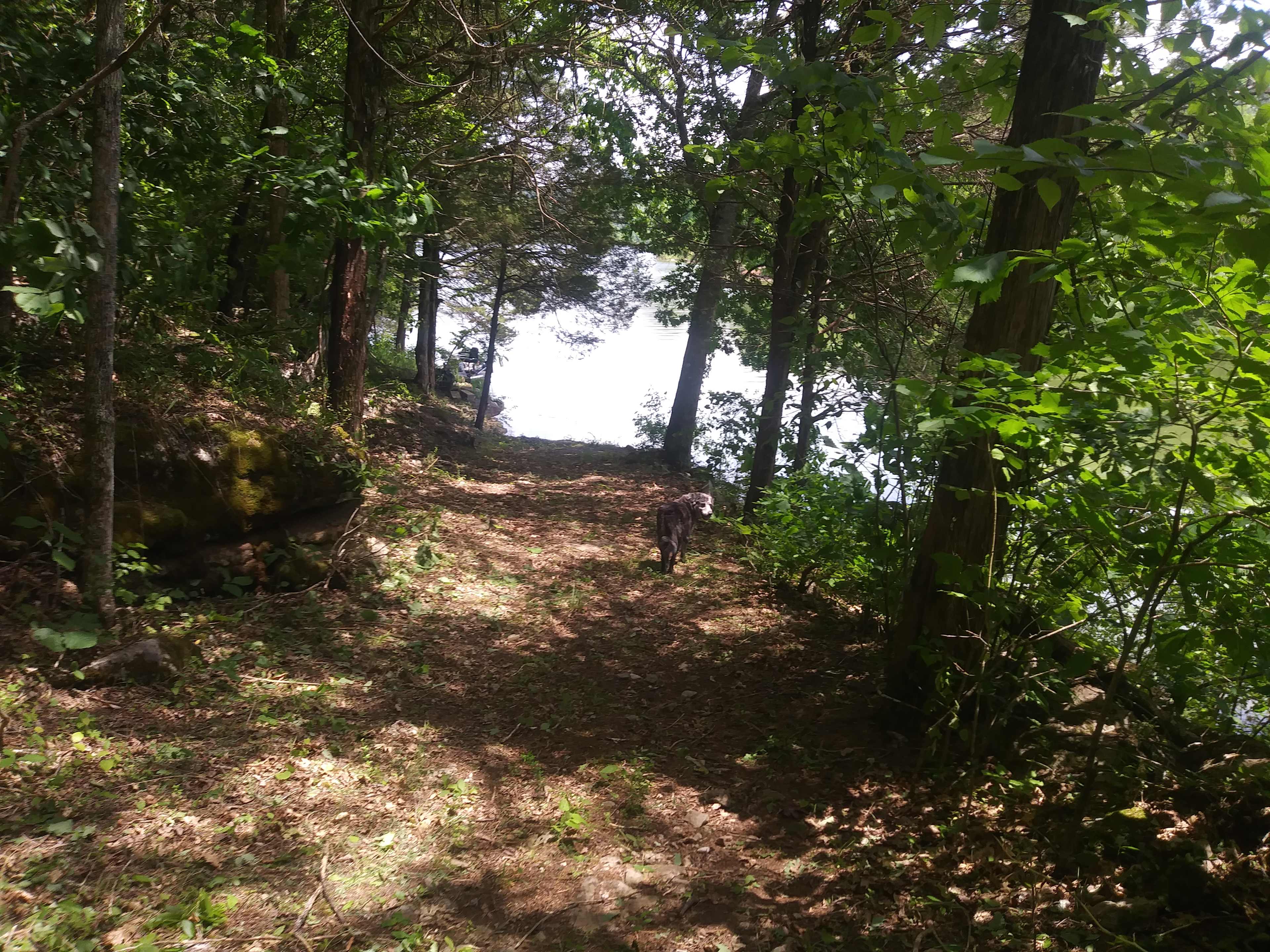 Lake Point Camping