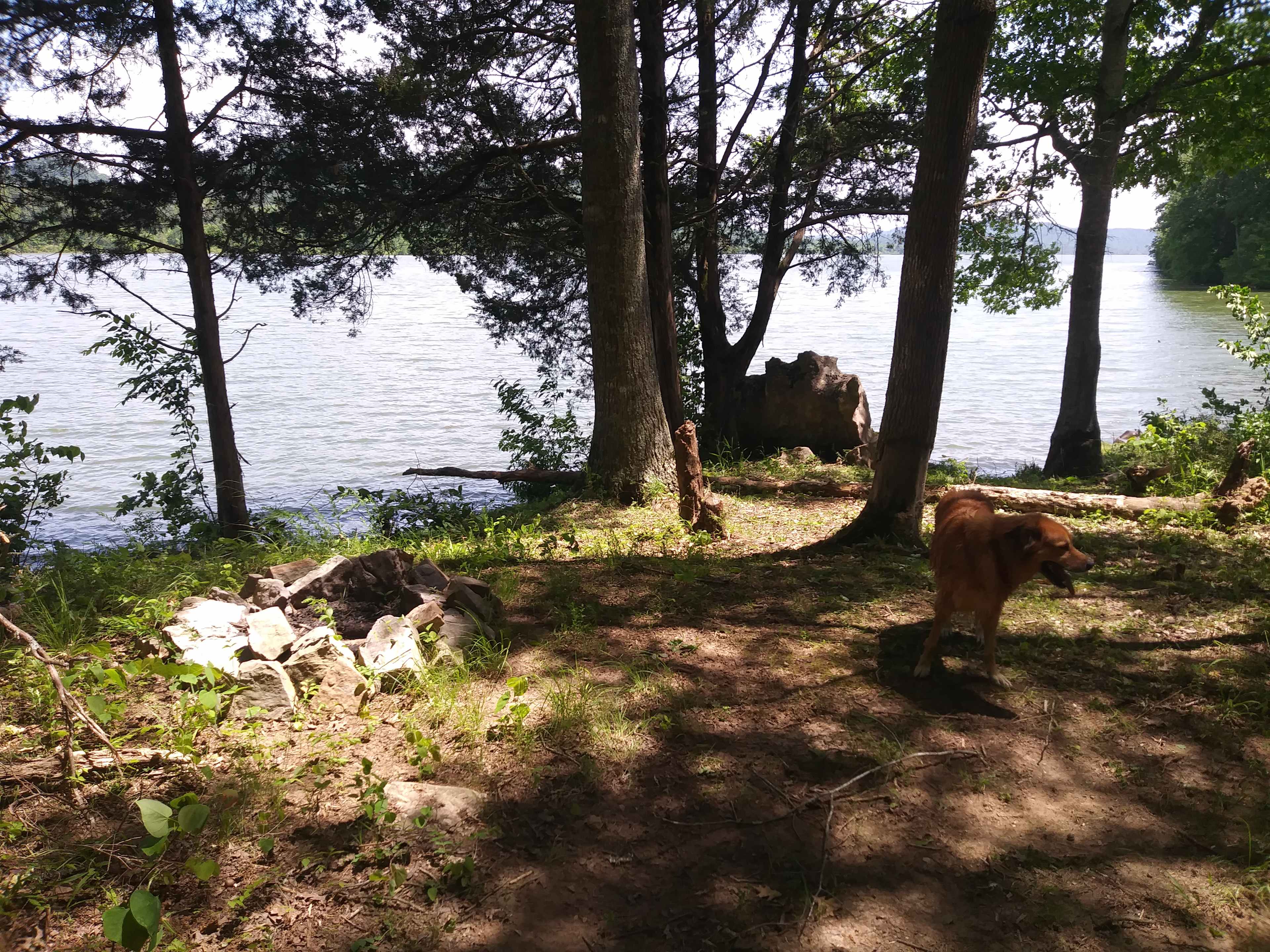 Lake Point Camping