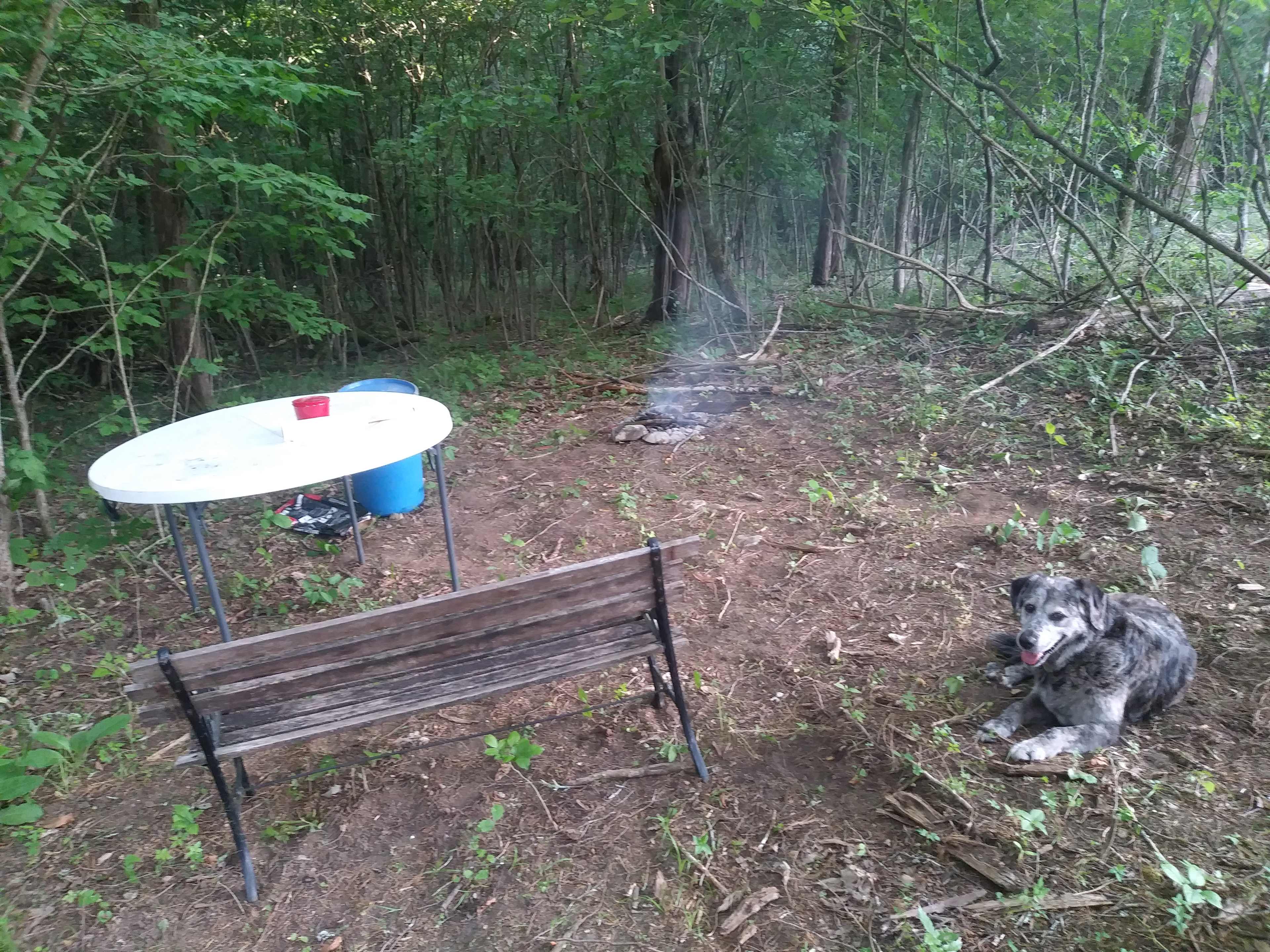 Lake Point Camping
