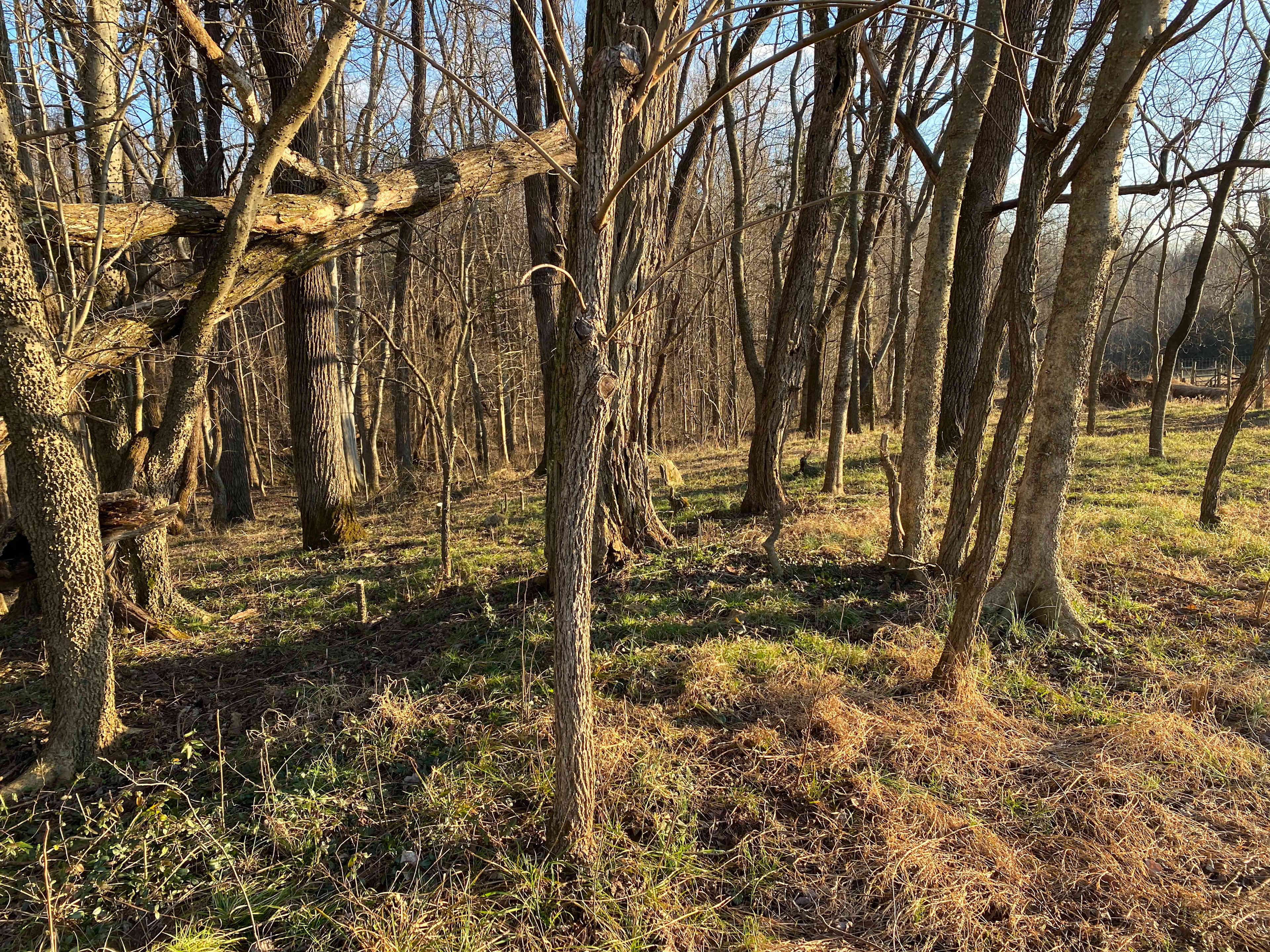 Camping at Cloverdale Farms