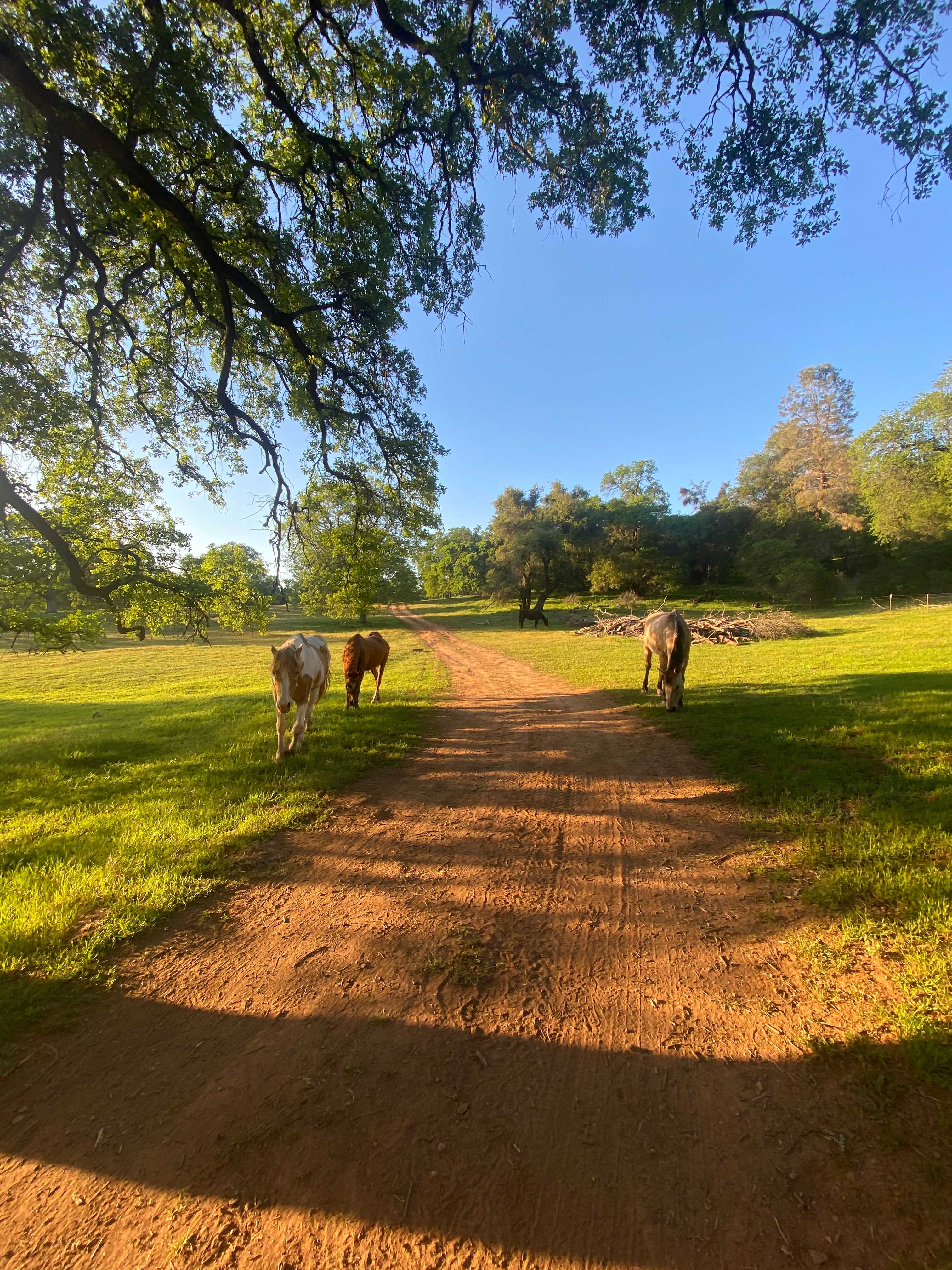 Ascension Ranch