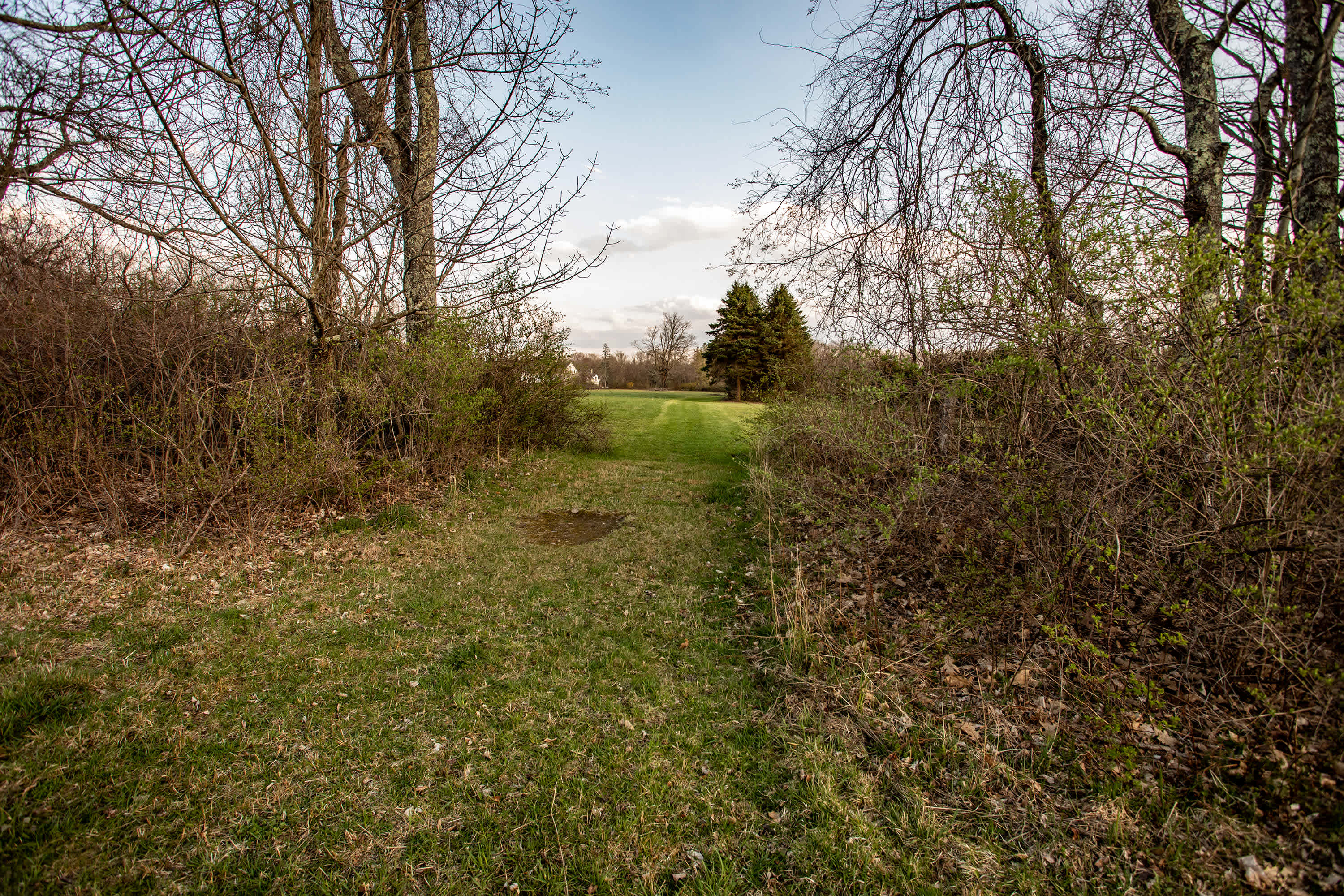 A path leading back toward the main house