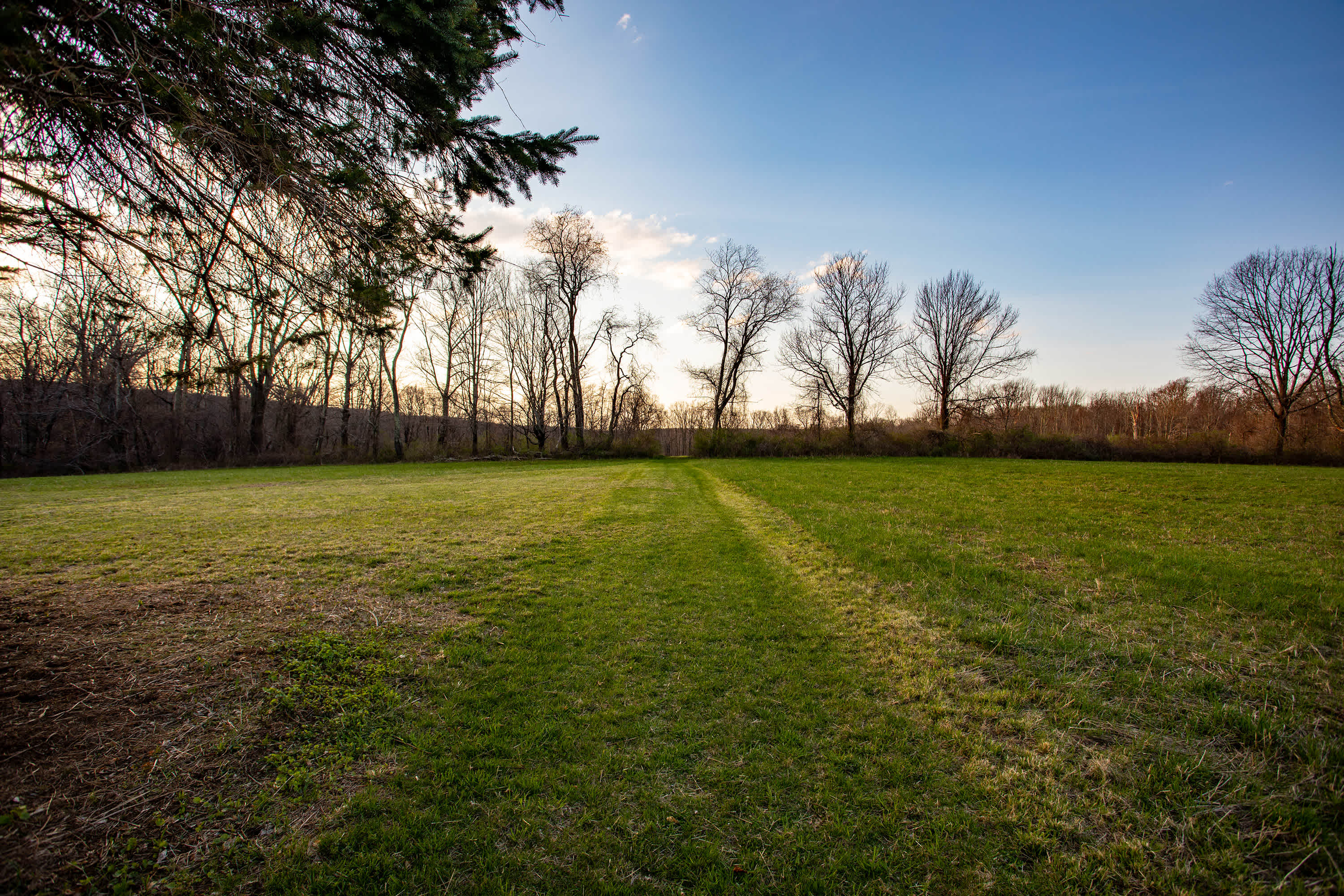 Path leading toward the campsites