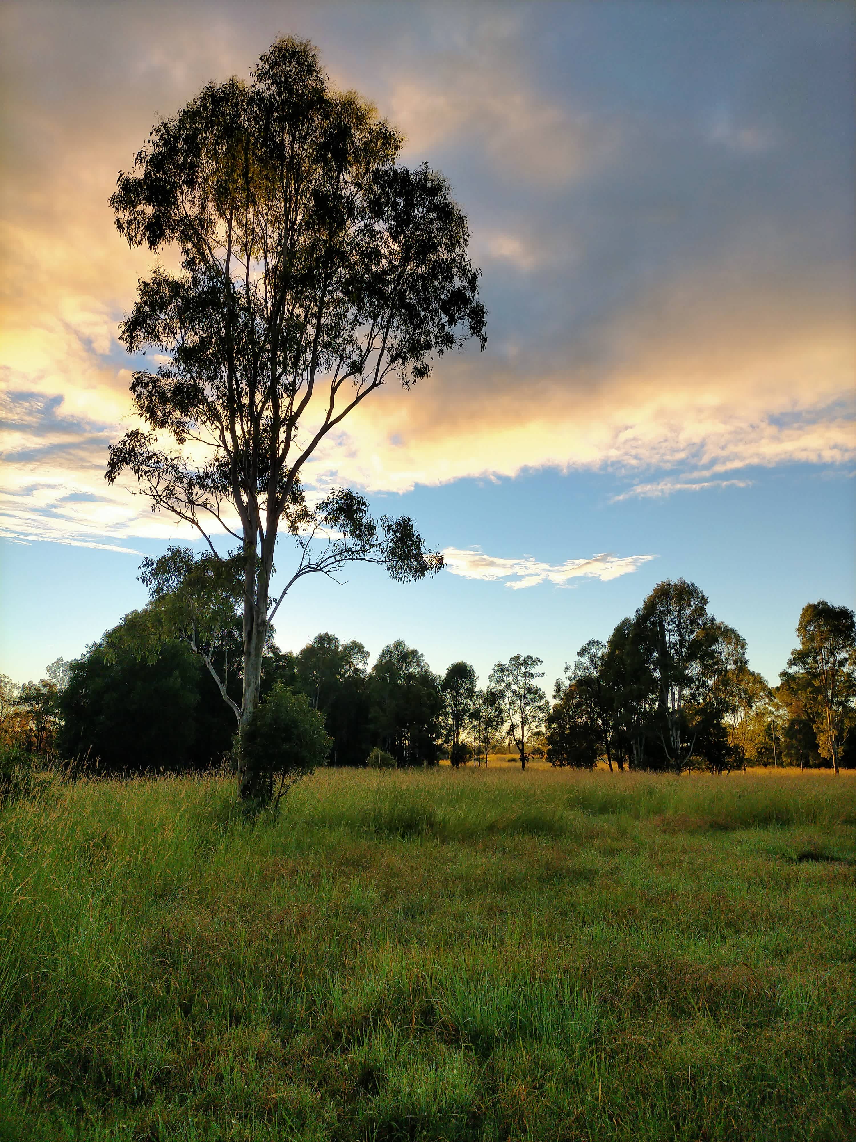 Sunrise at Gracemere