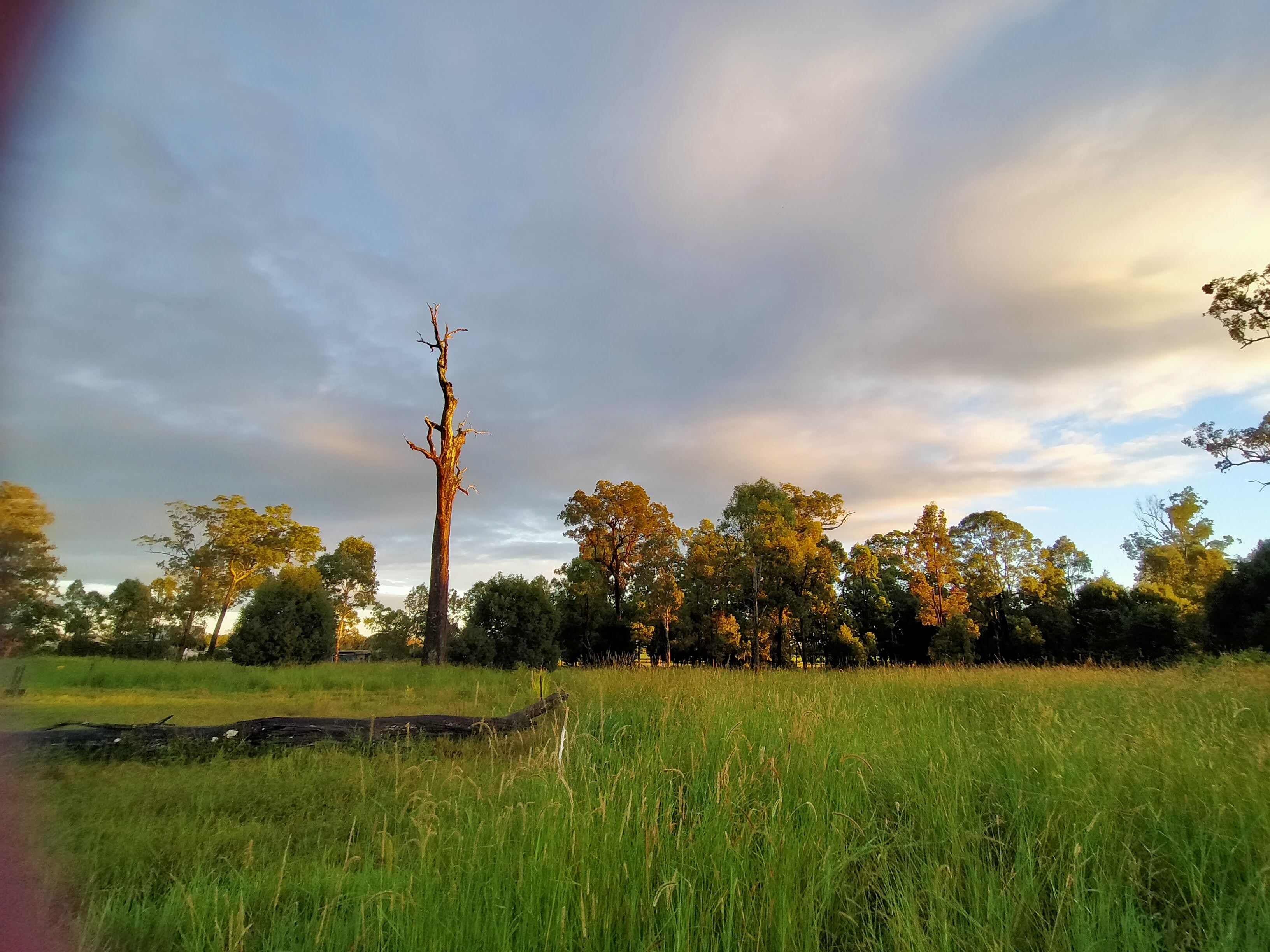 Gracemere Farmstead Camping
