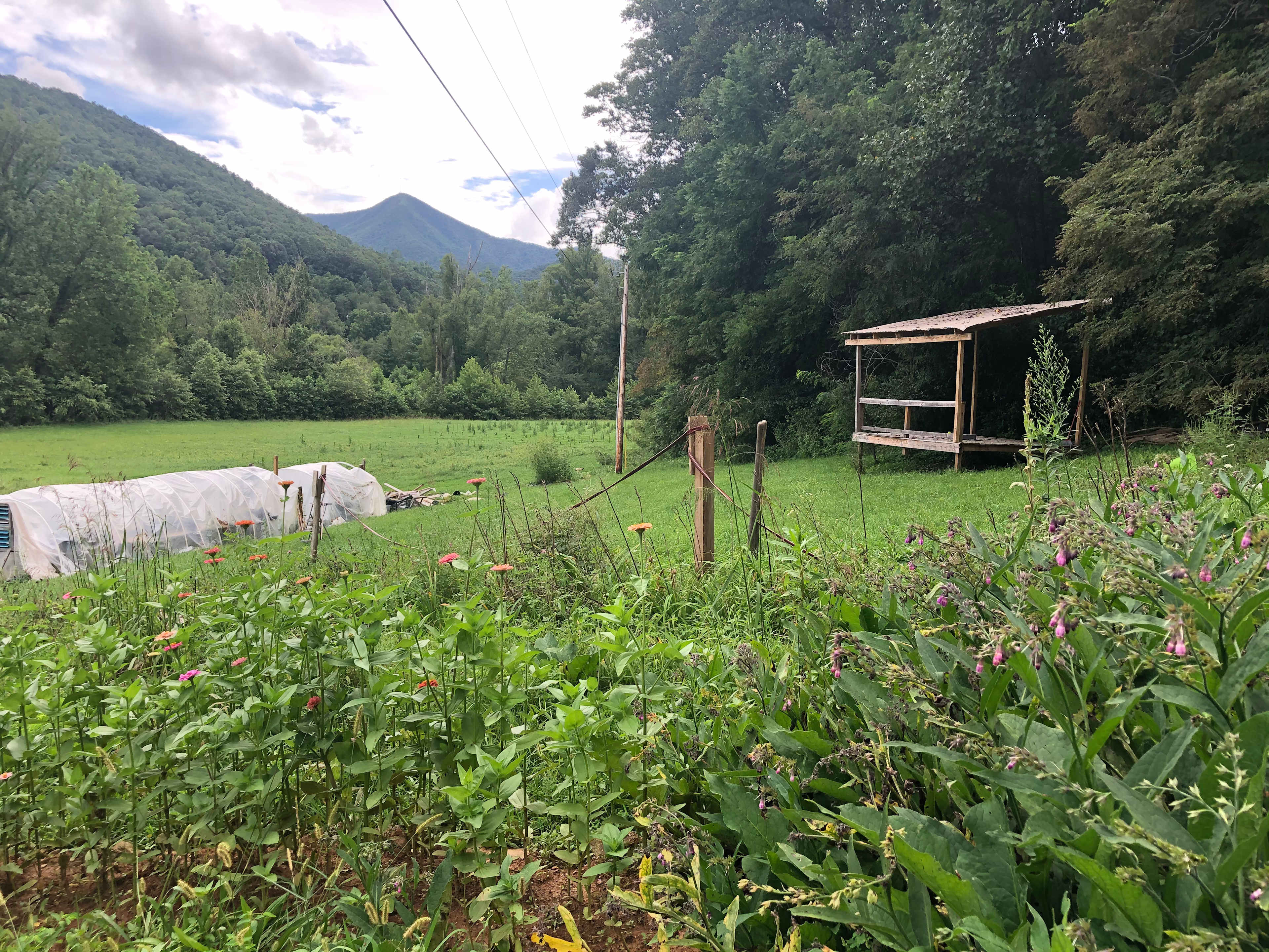 Green Heart Medicinal Herb Farm, Cr