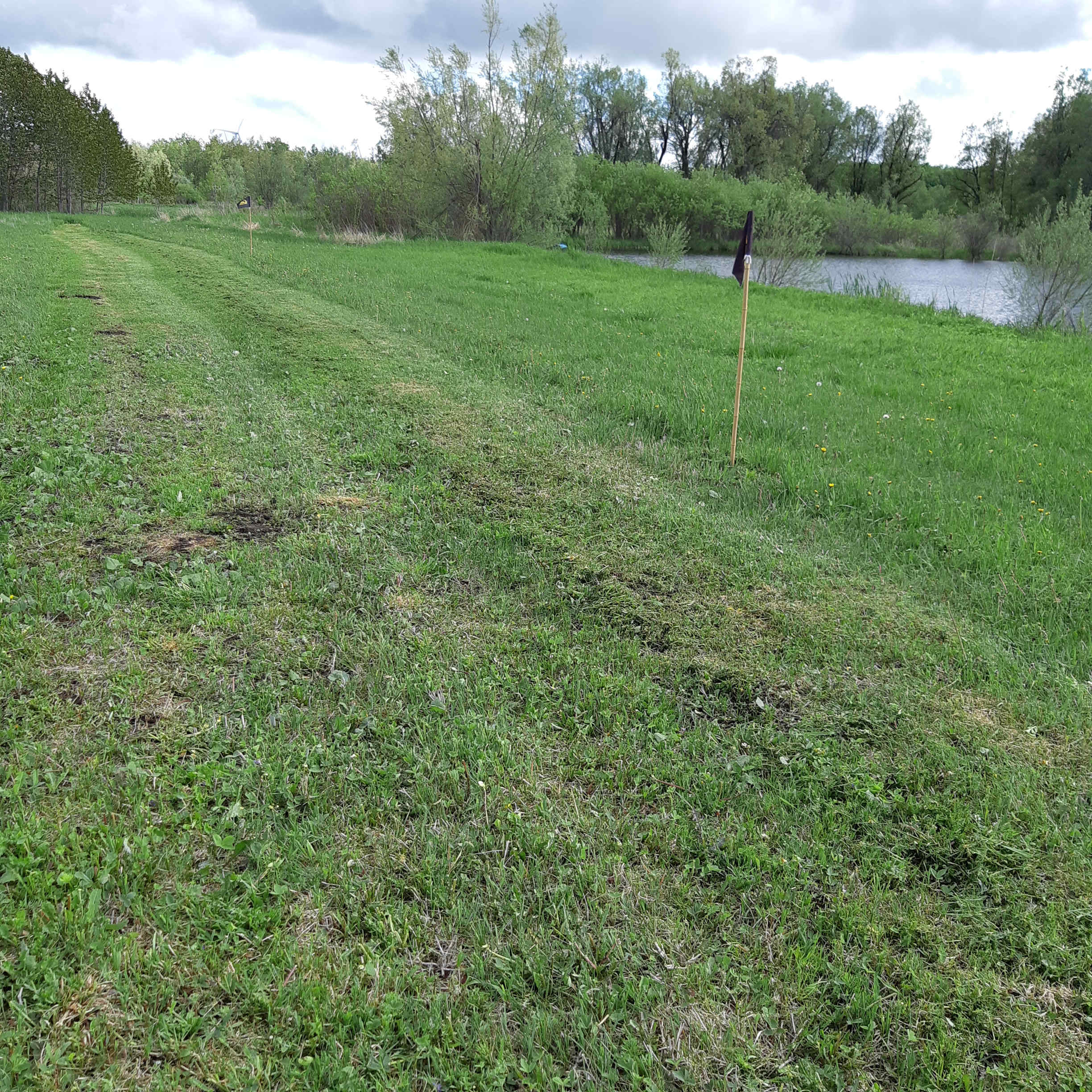 Picture of the site