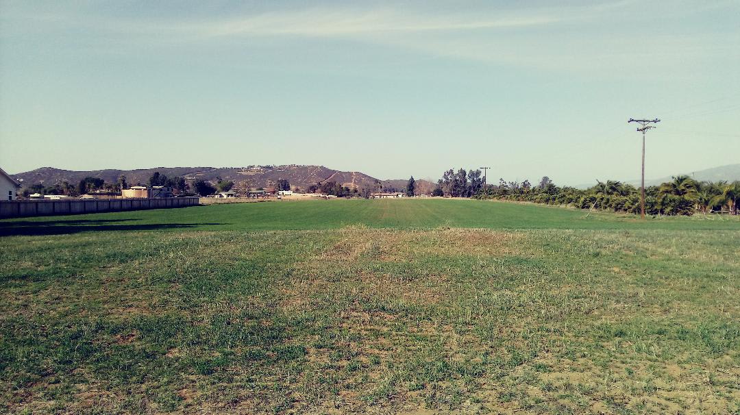 Pasture late in the year