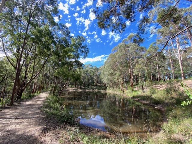 The lovers walk dam on a lush sunny day :) 