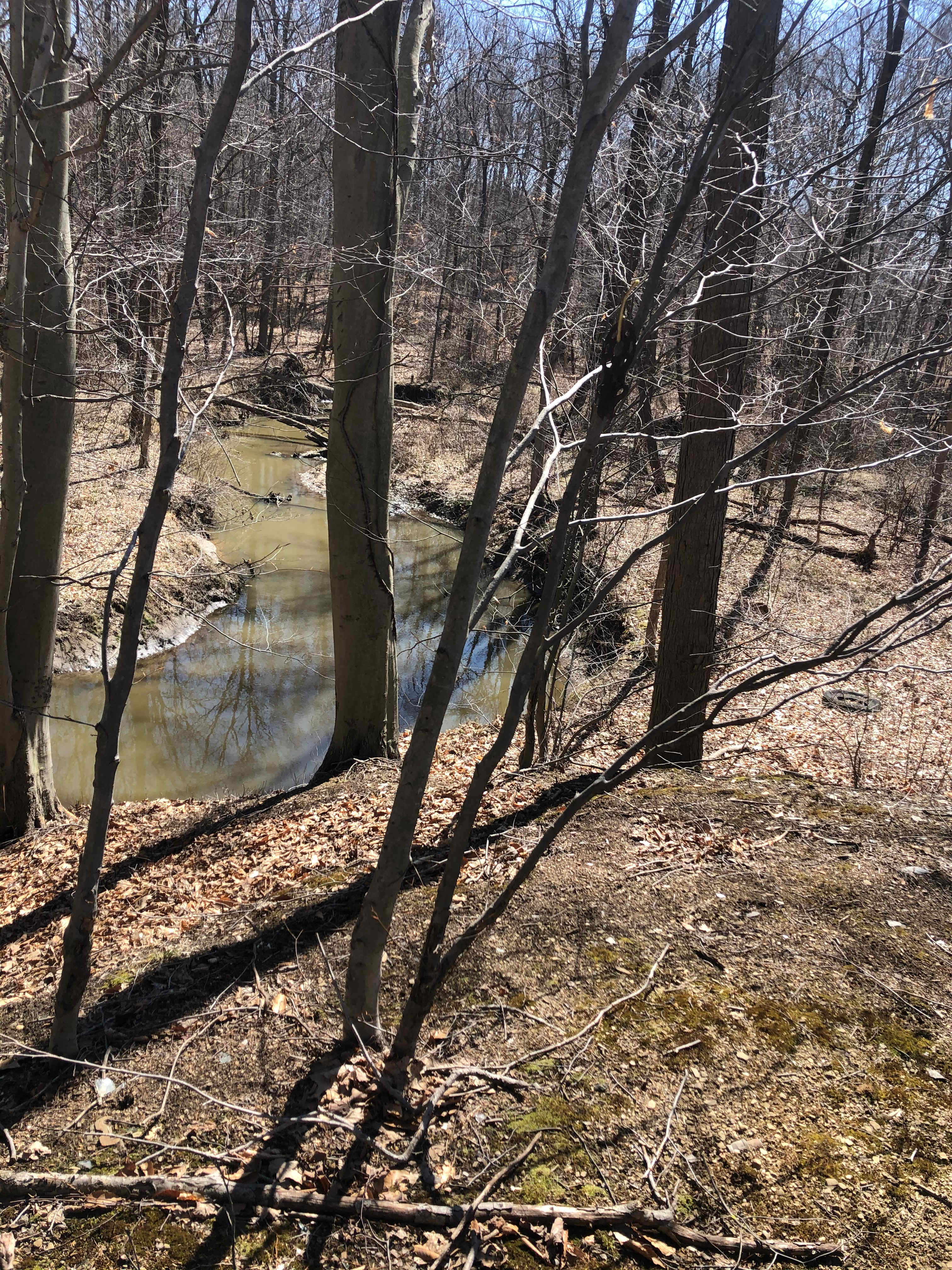 Barrel Run Creek
