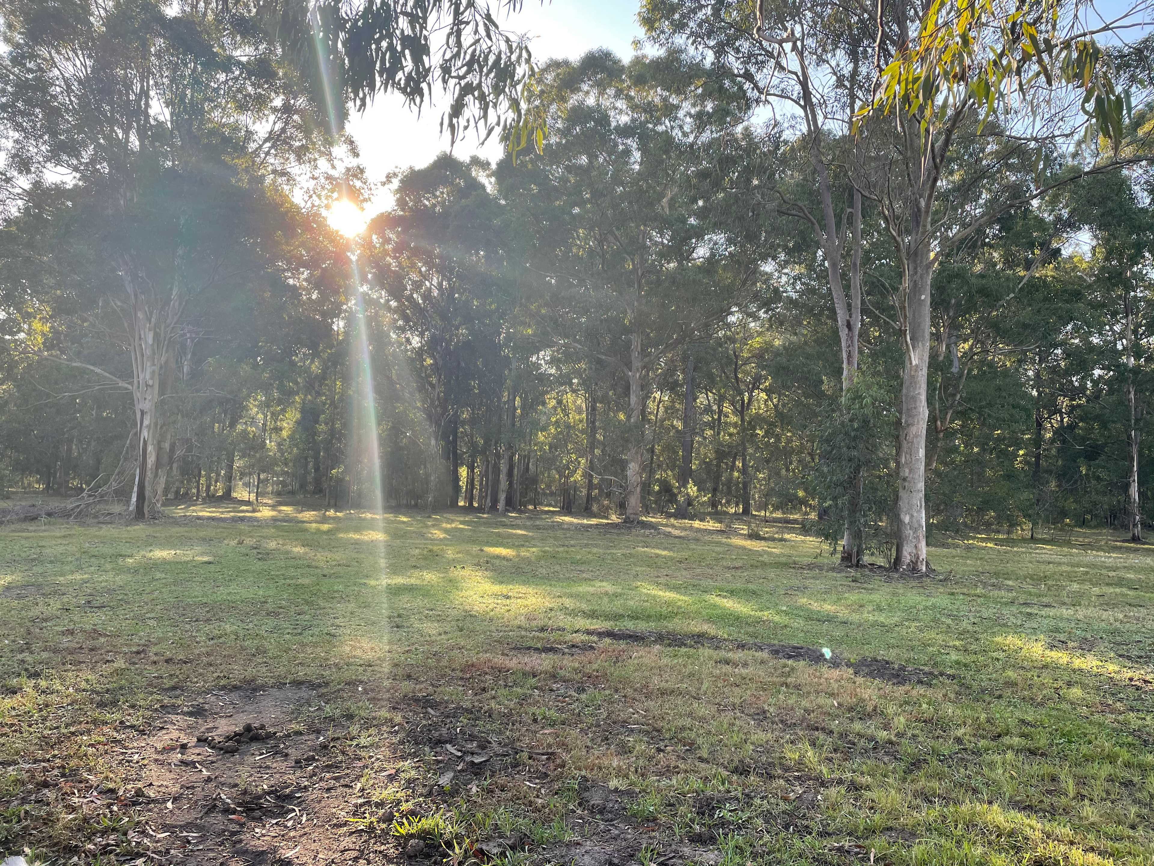 Peaceful Paddocks