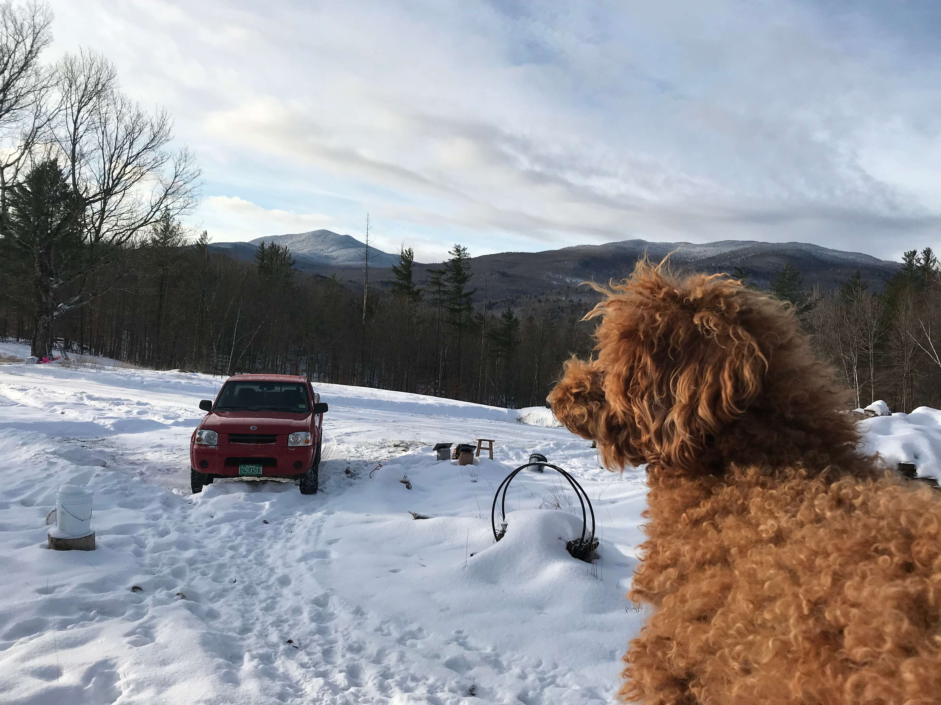 Hogback Homestead