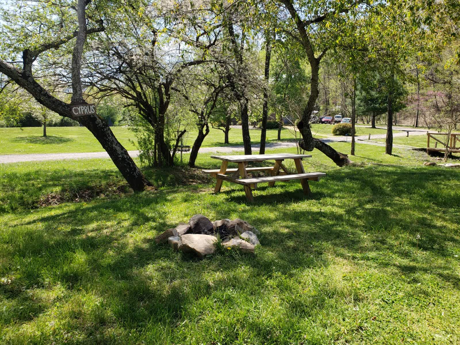 Picture of the site