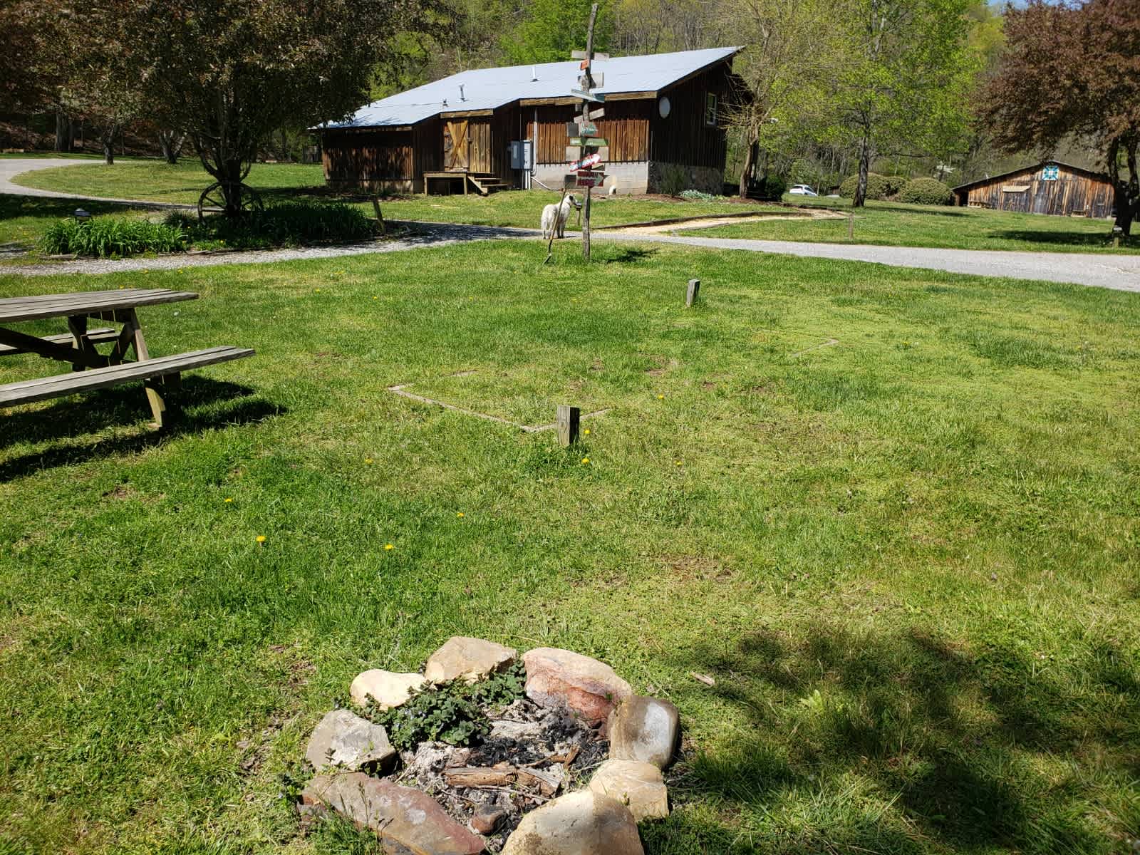 Picture of the site