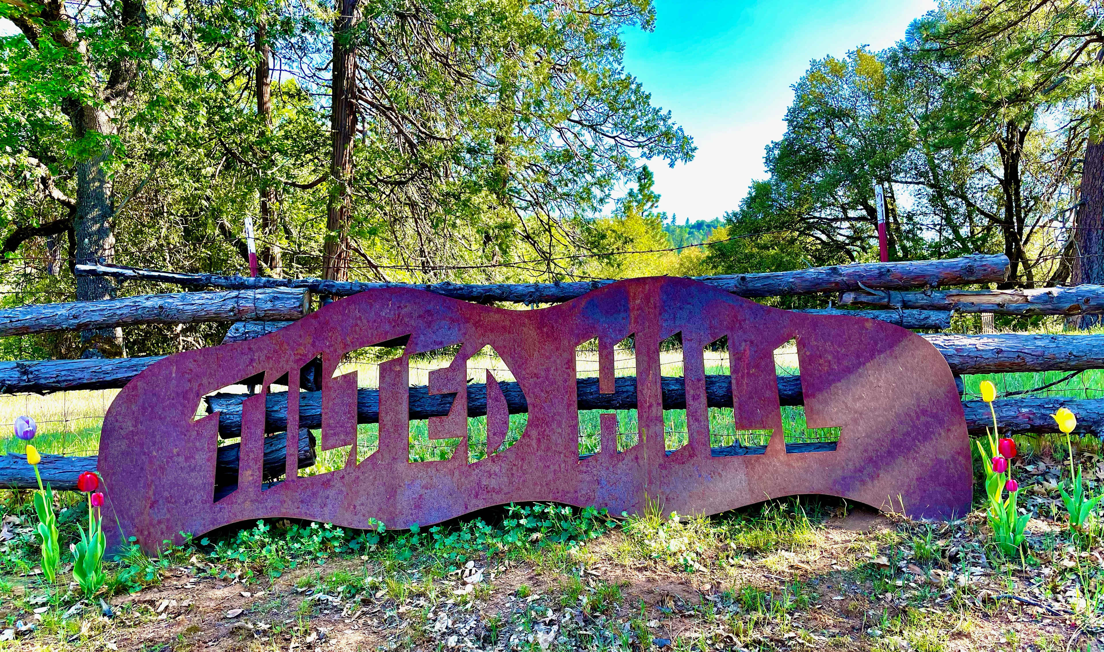 Tilted Hill Ranch