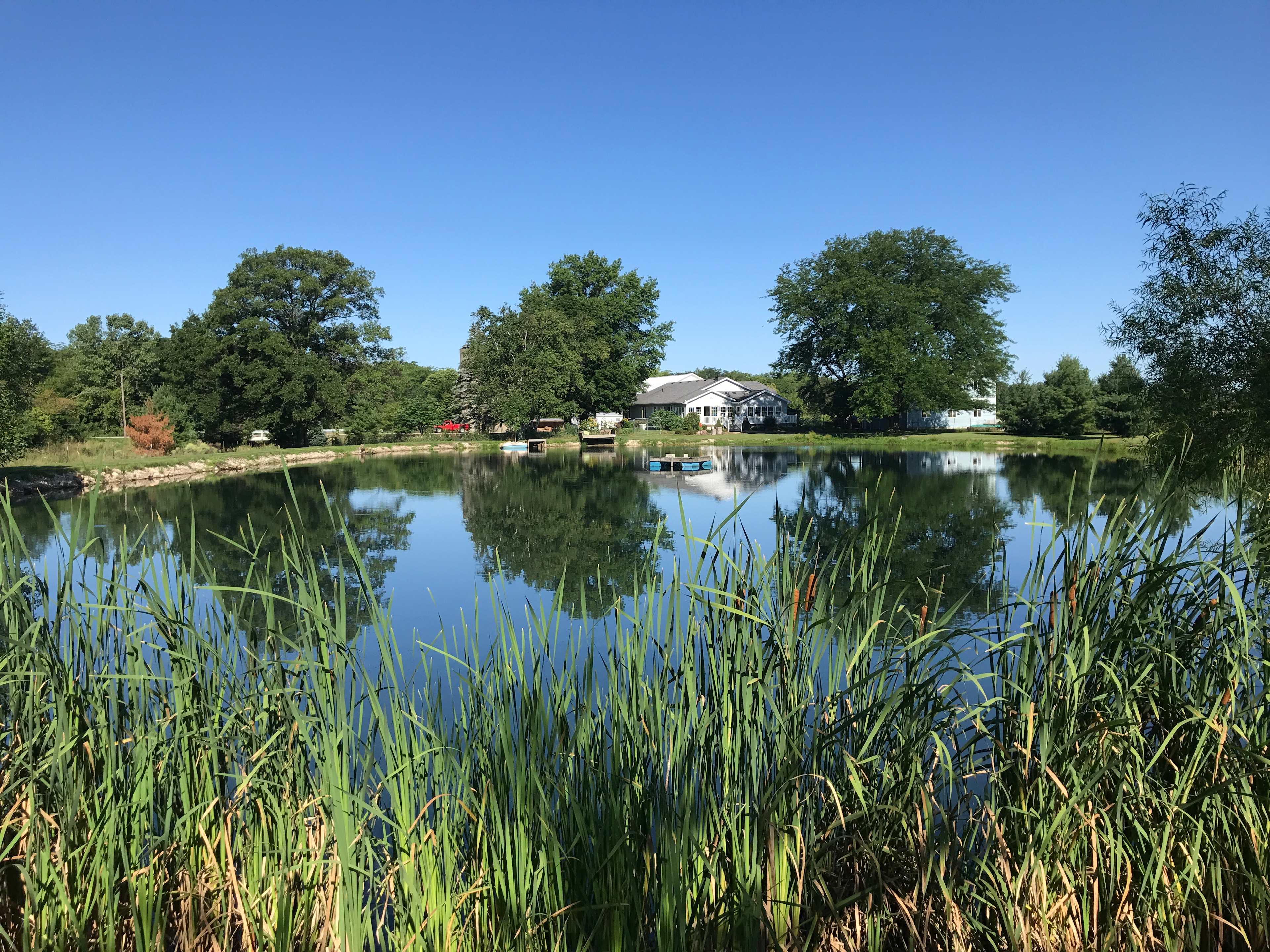 The pond.
