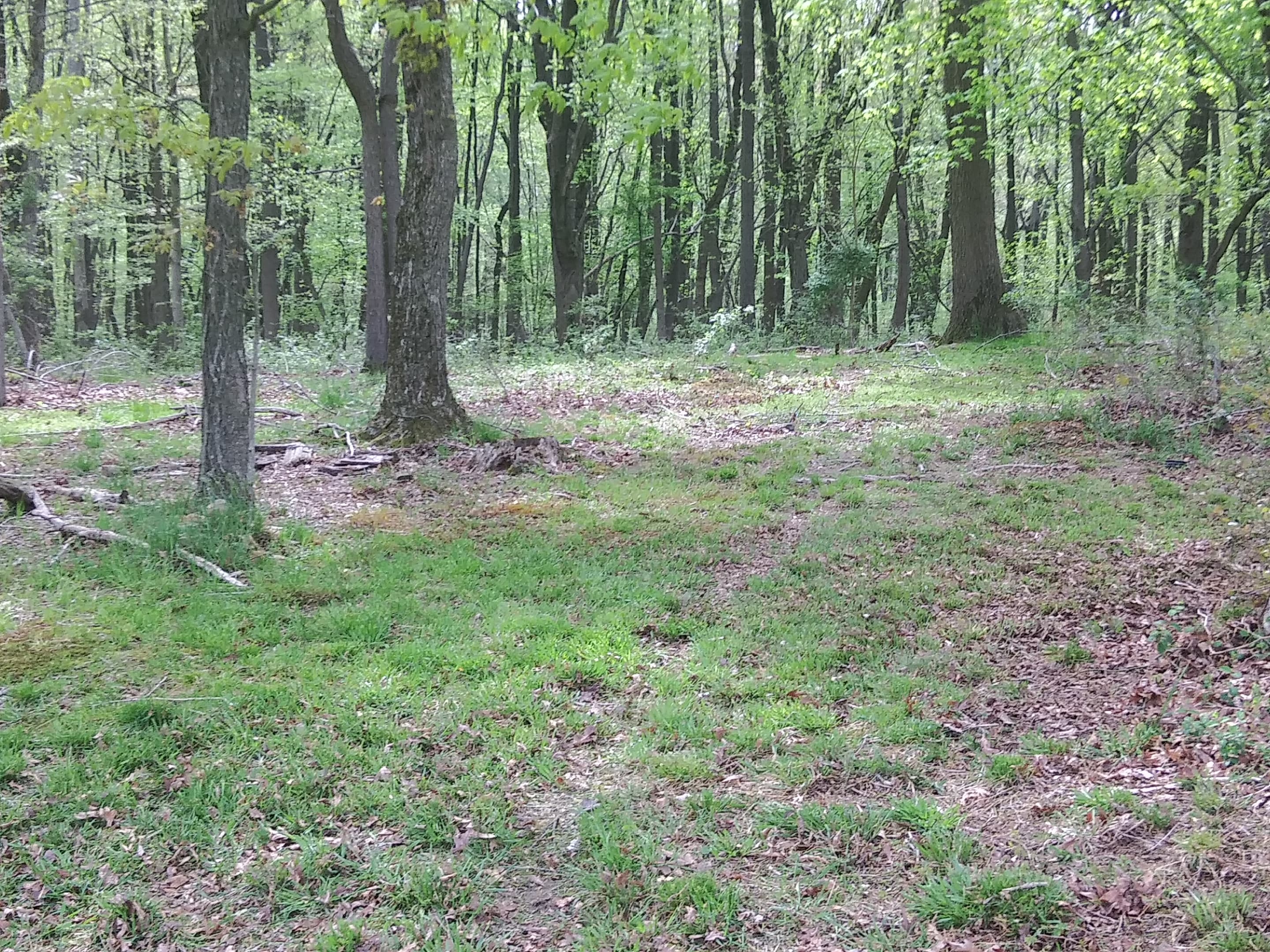 Bellview Farm