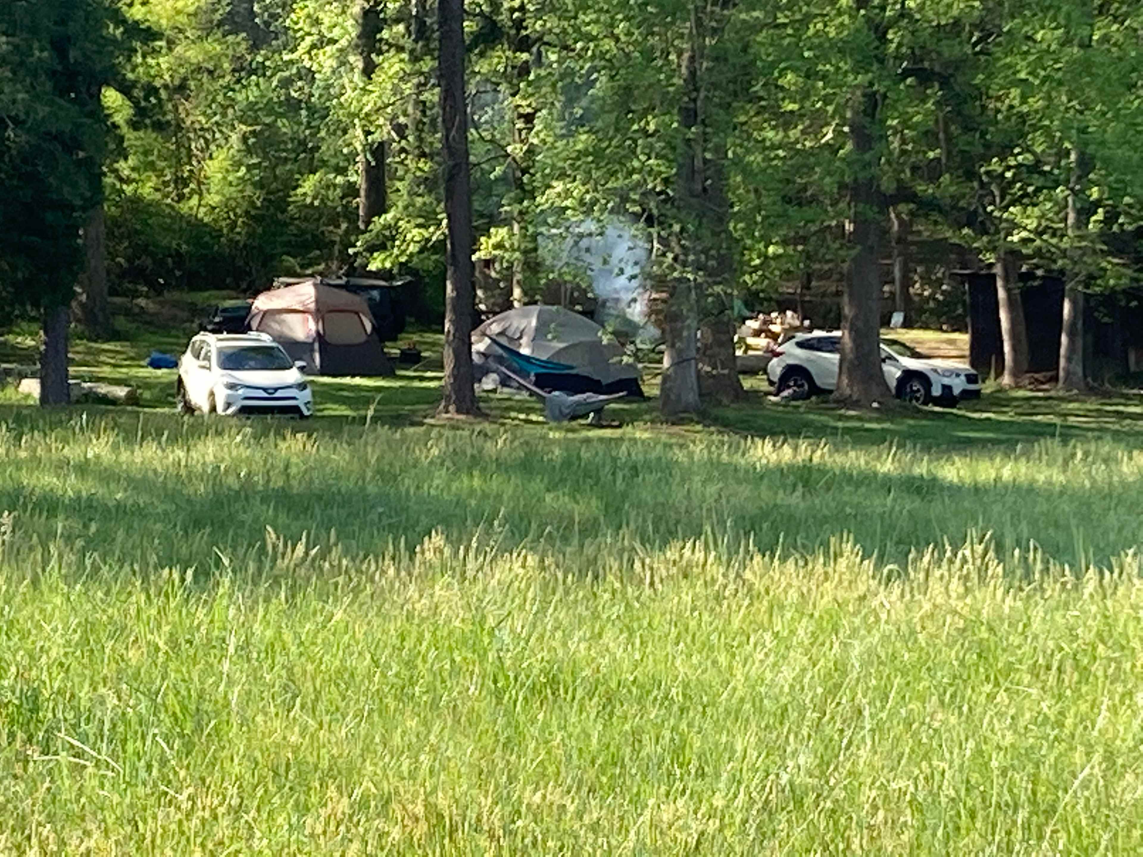 Site # 1 located to your left. As you can see, there is plenty of room for a large group on campsite #1