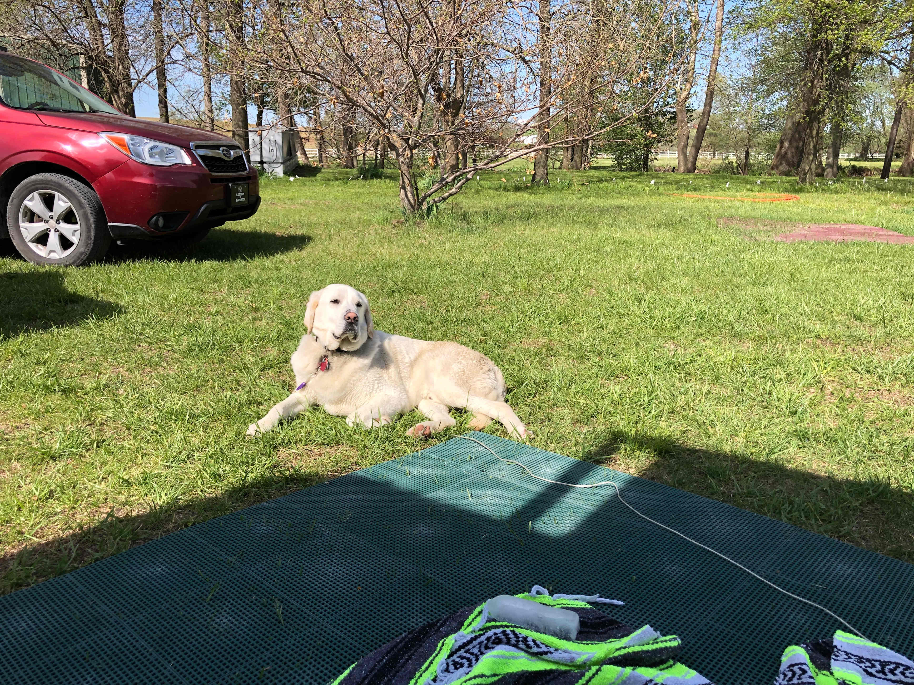 Pets are welcome