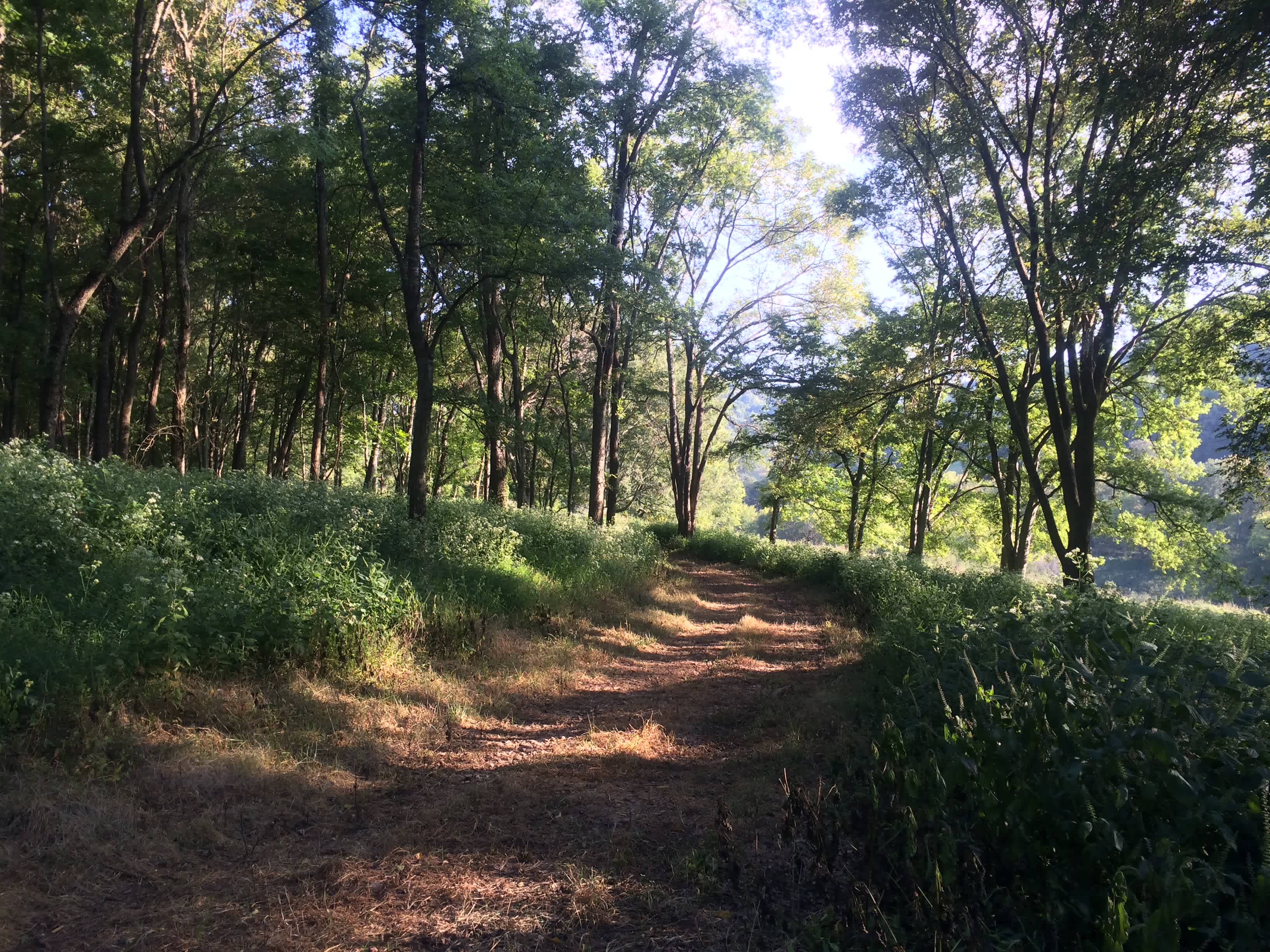 Sheepneck Valley
