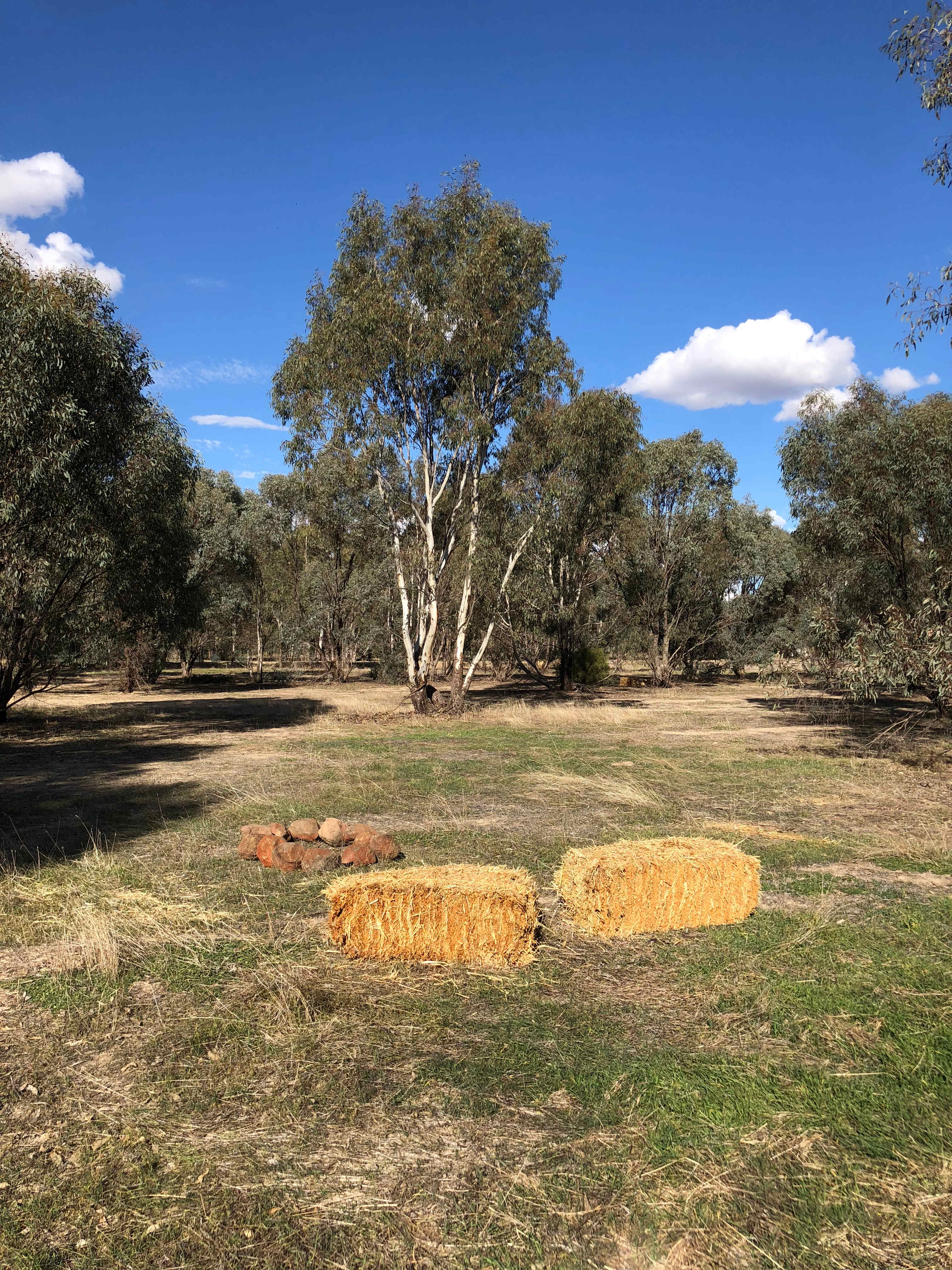 Murray River Bush Camp