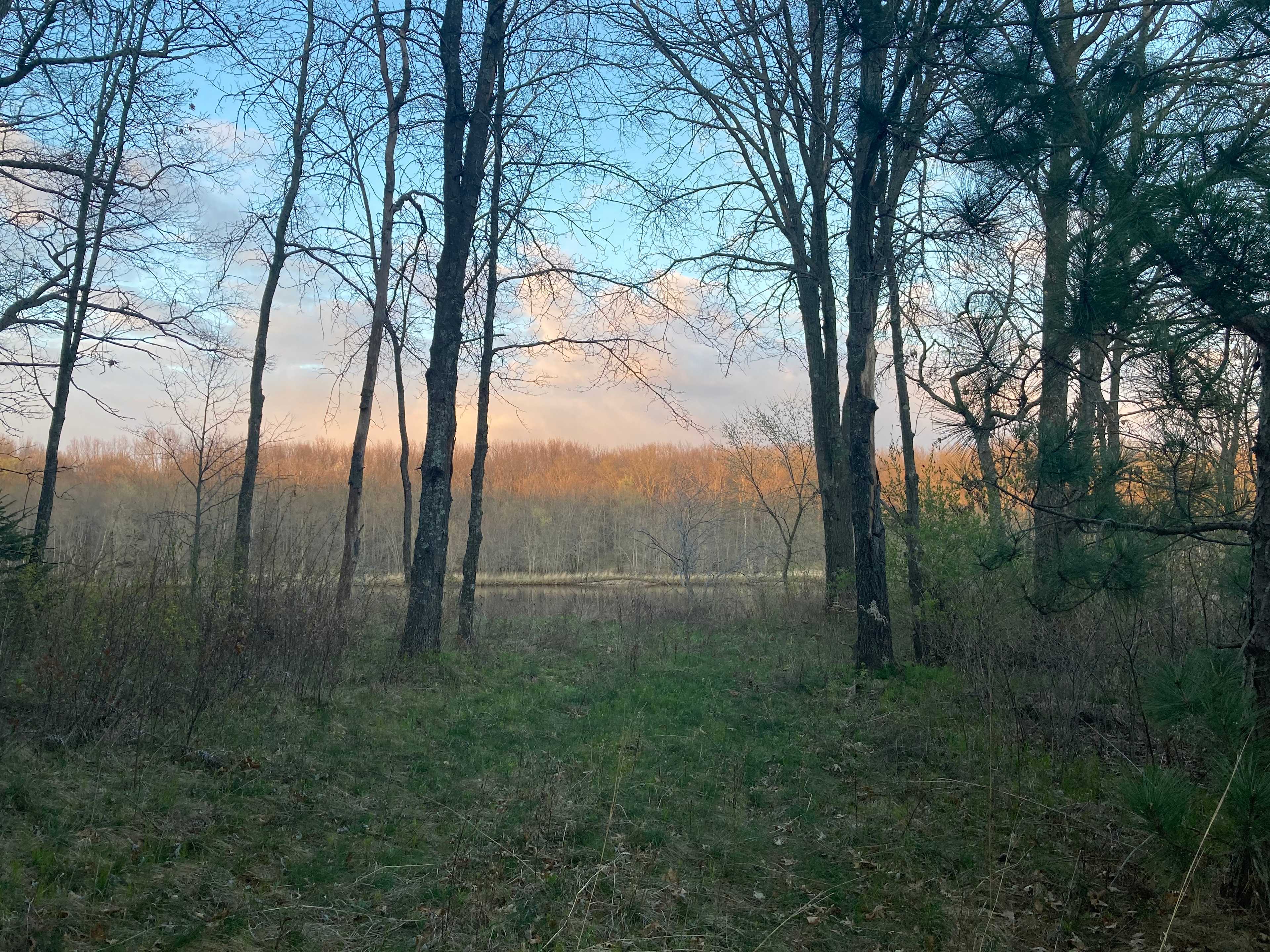 McCoy's River Retreat