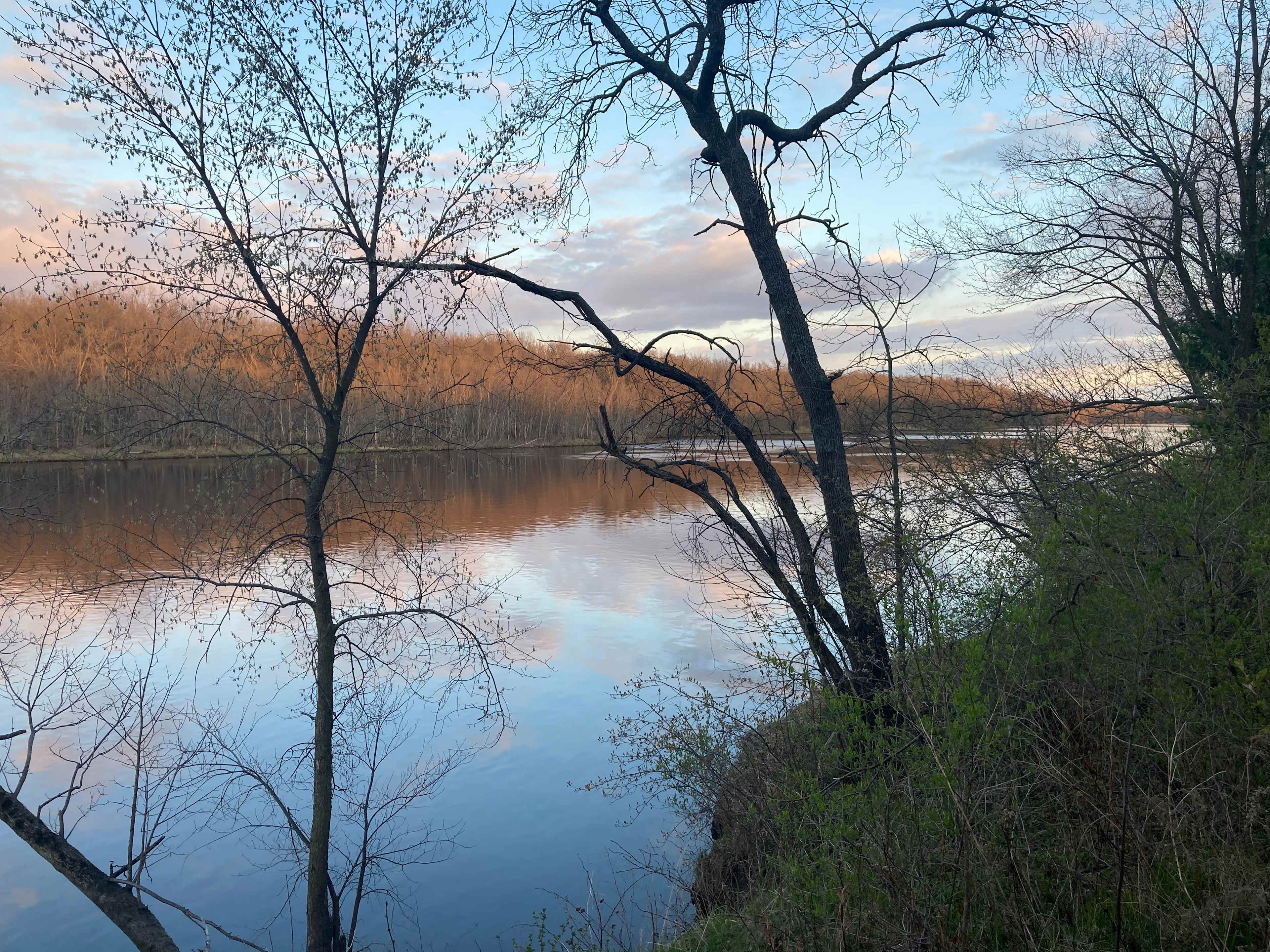 McCoy's River Retreat