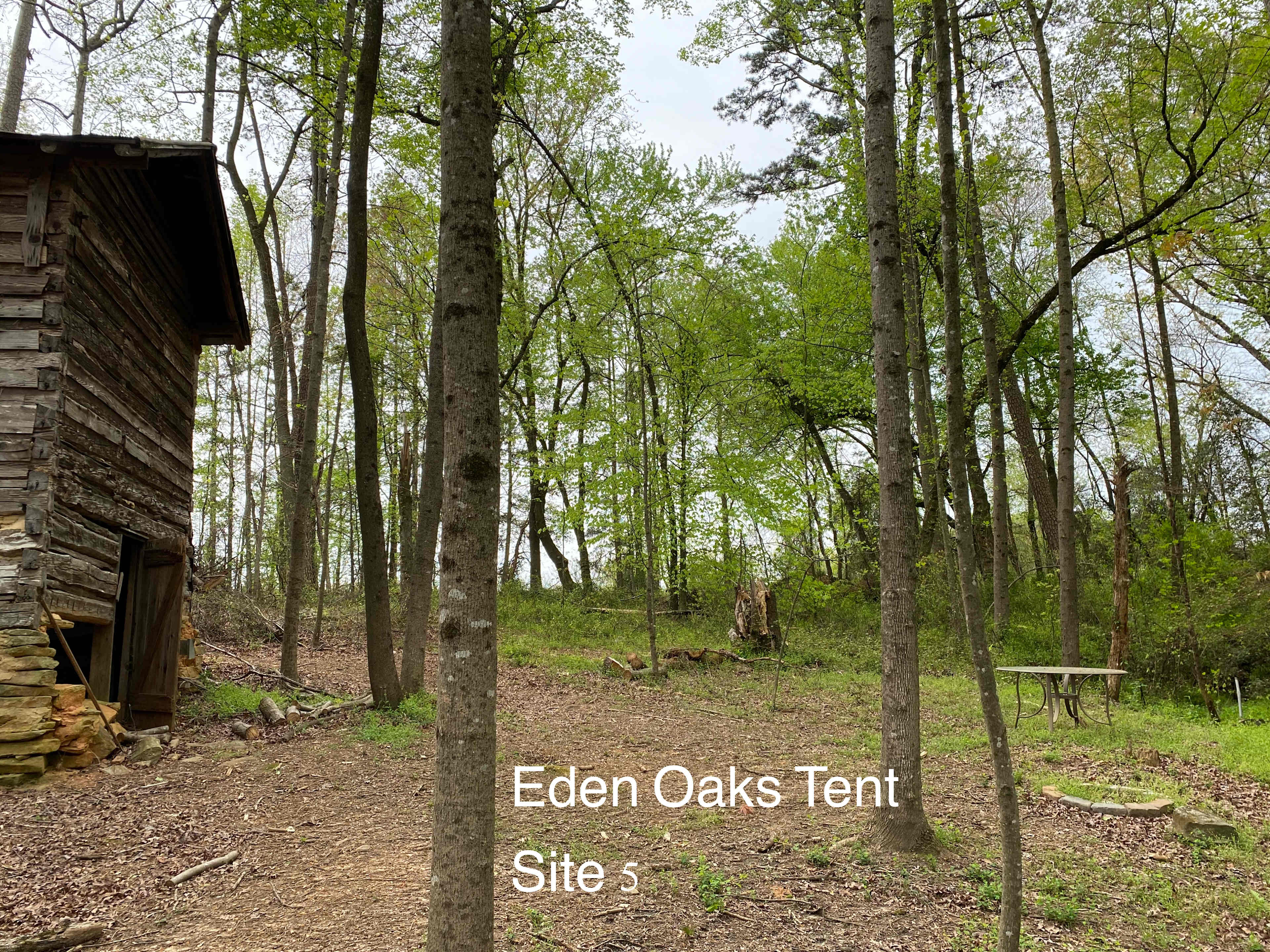 Picture of the site