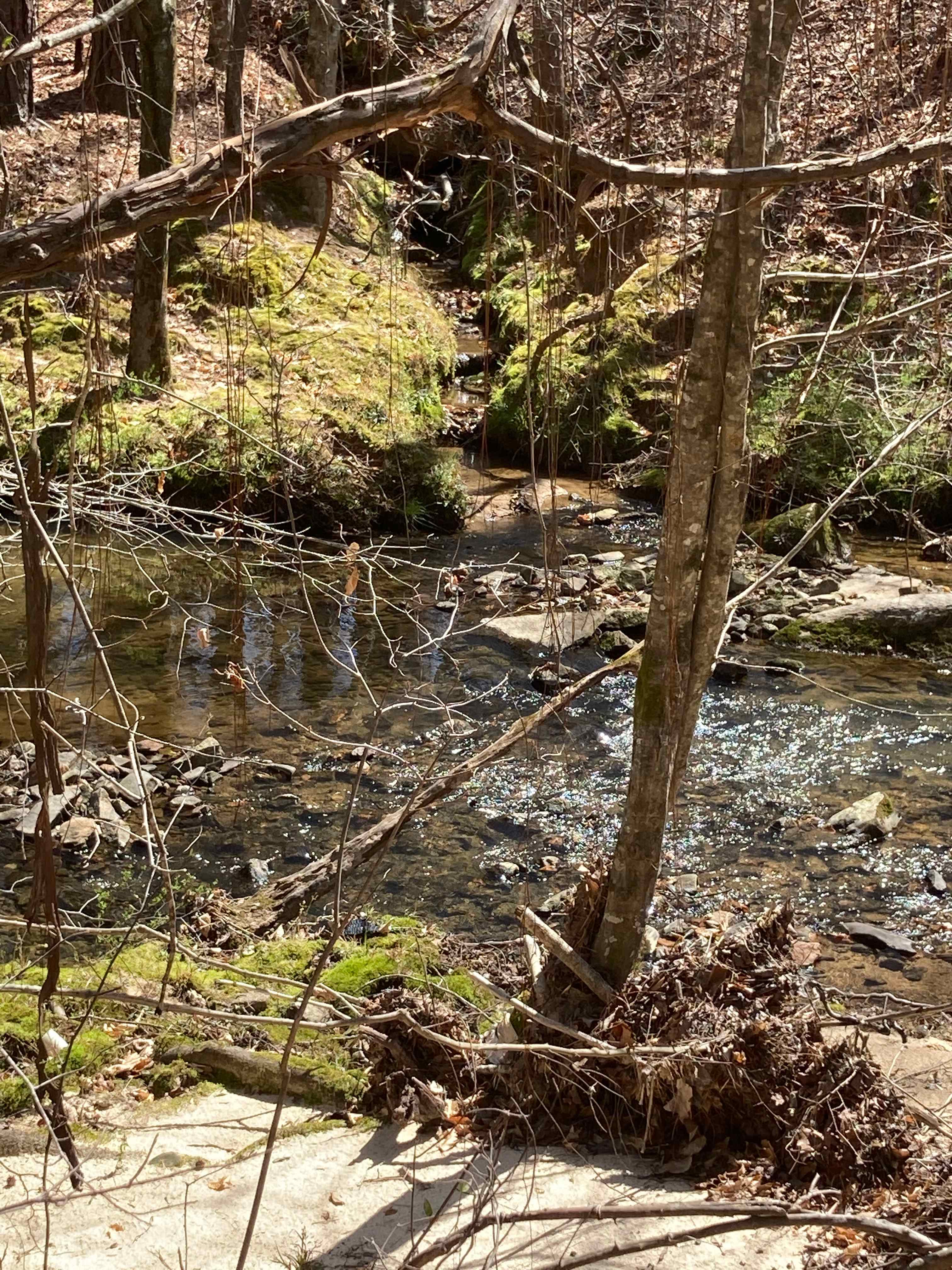 Ironwood Crossing