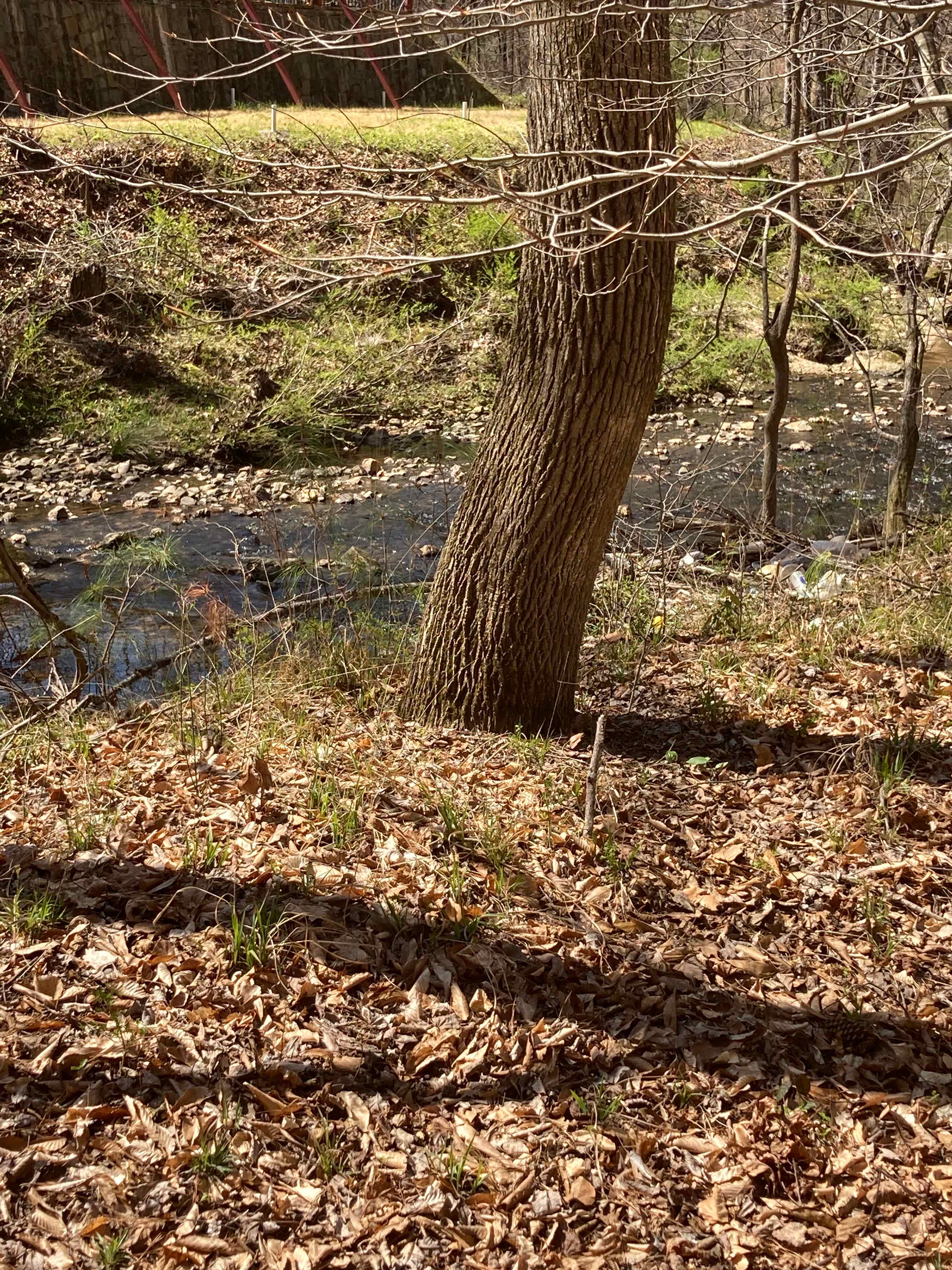 Ironwood Crossing