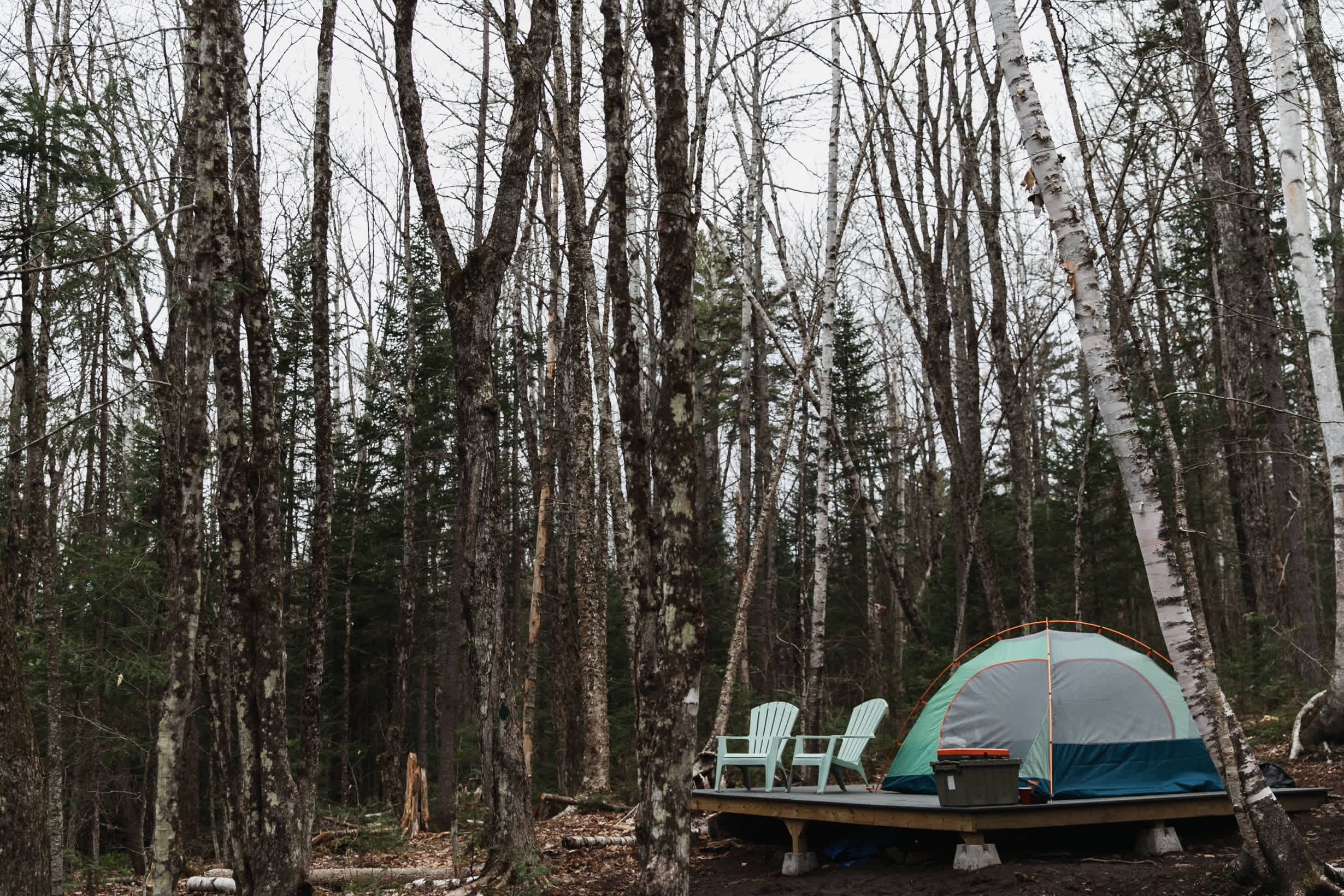 The campsite is so private! All woods for as far as we could see. 