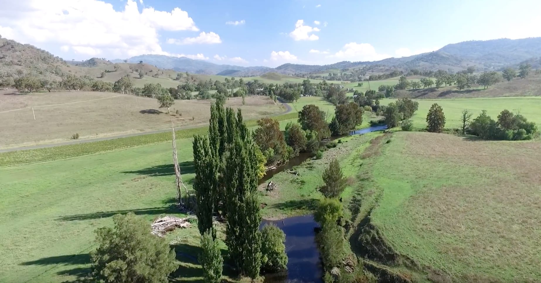 Roma Orchard - Hunter Valley