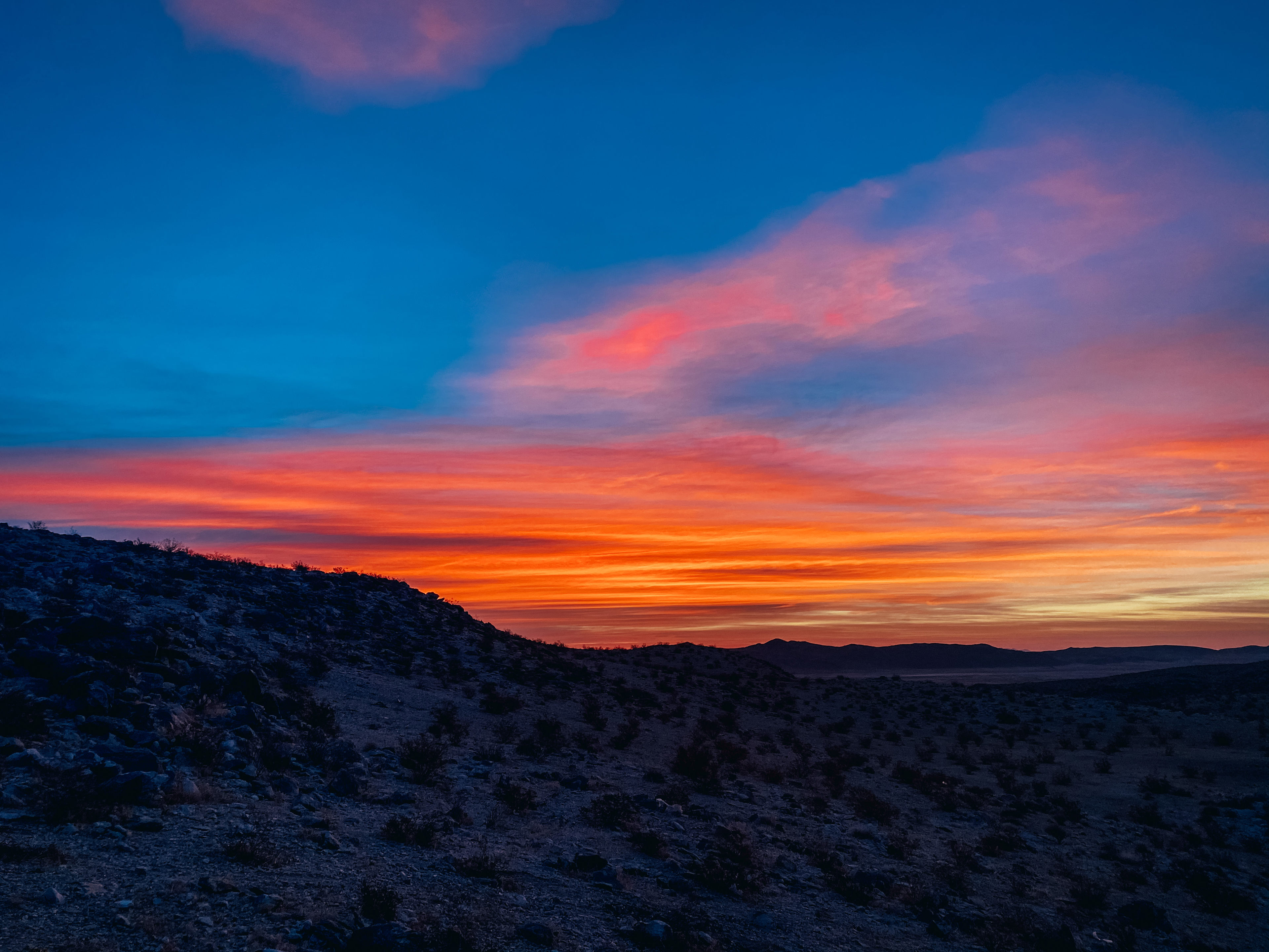 Coyote Hideaway | WOW view✨