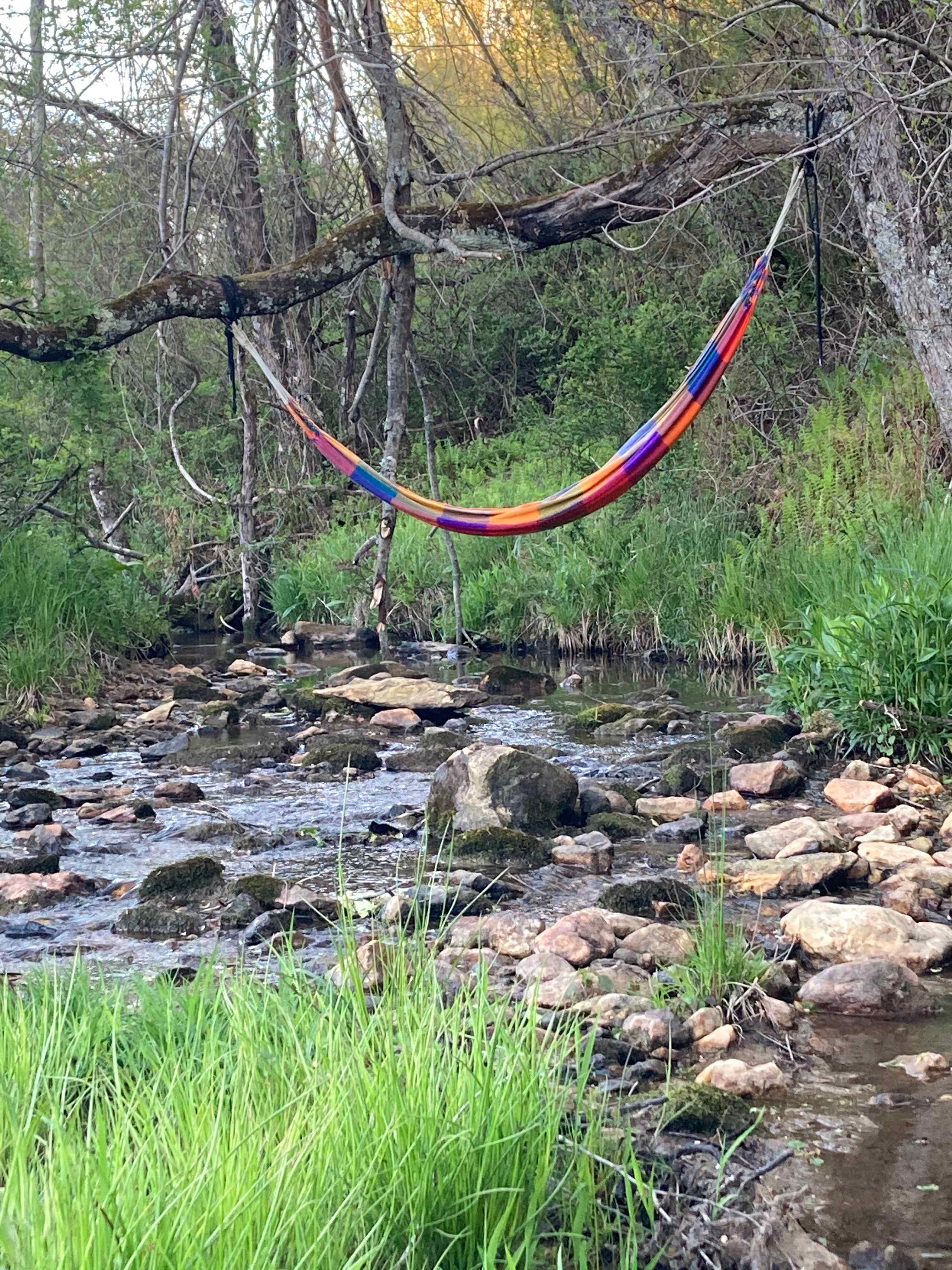 Daynasaurland Creekside Camping