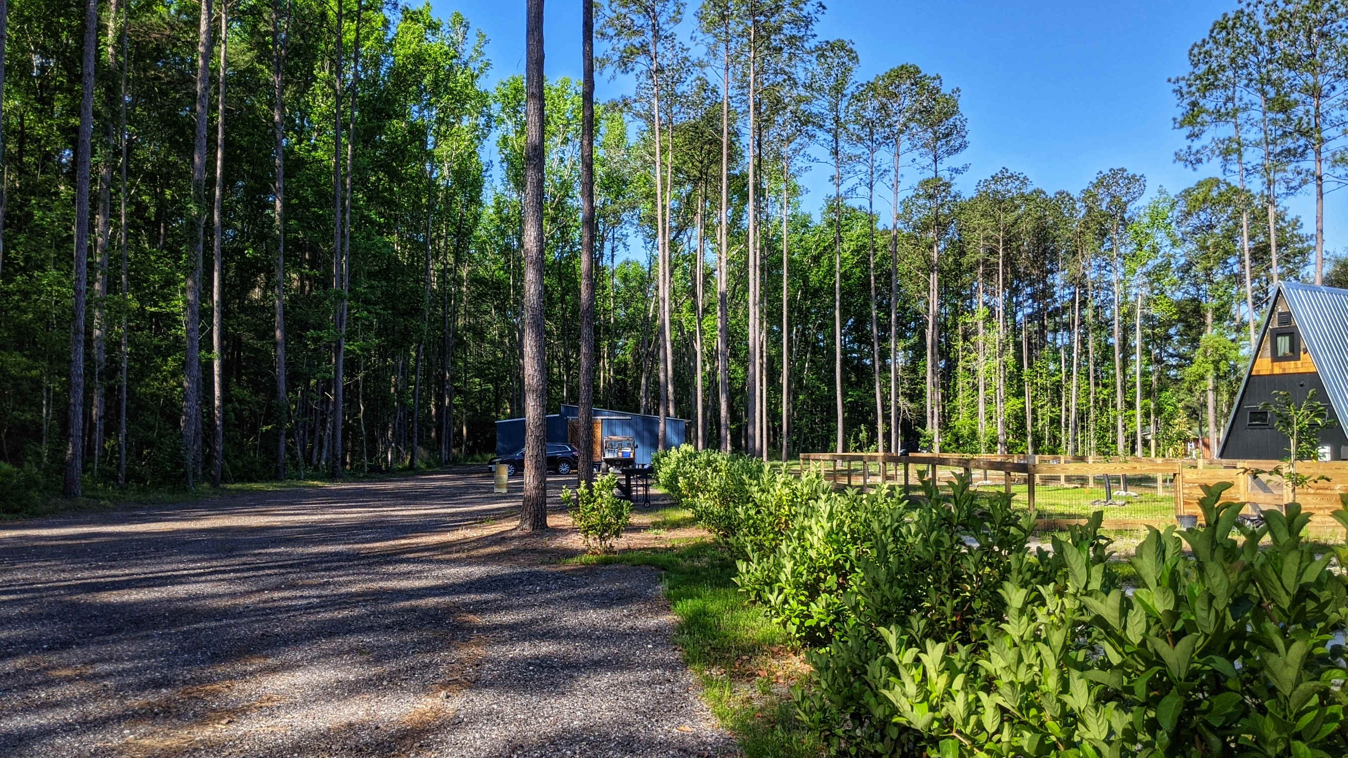 Picture of the site