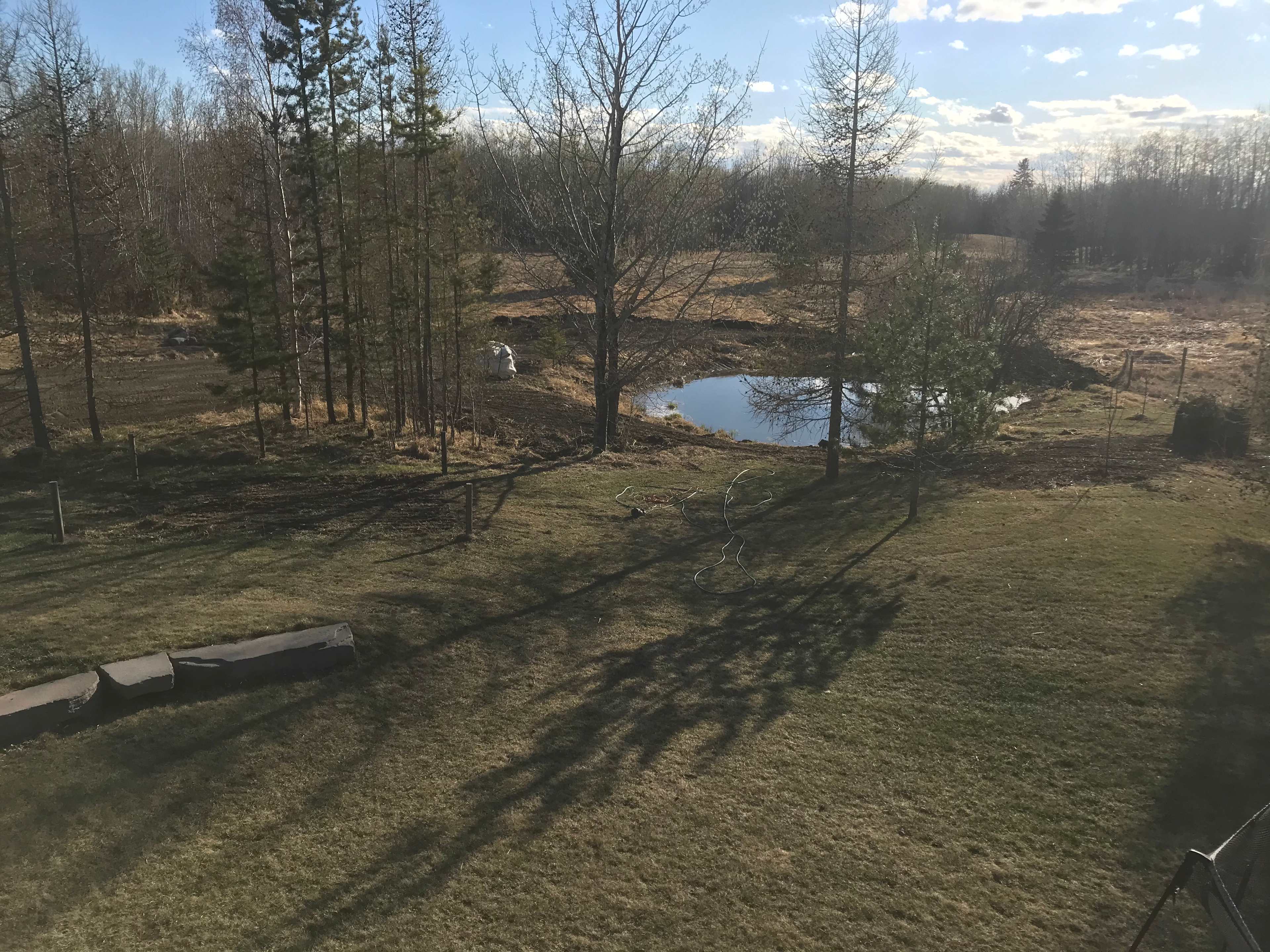 Trees, Grassland Trails and Hills