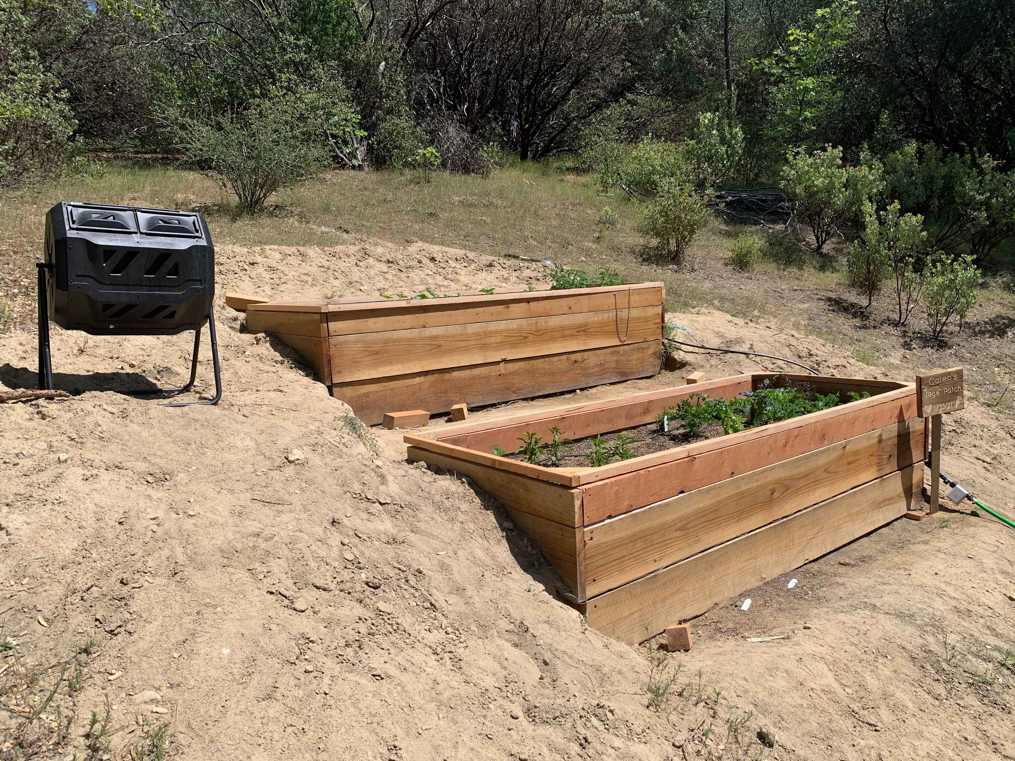 Our little veggie patch complete with compost bin. Add your compost to our bin and help us eat our lettuce!